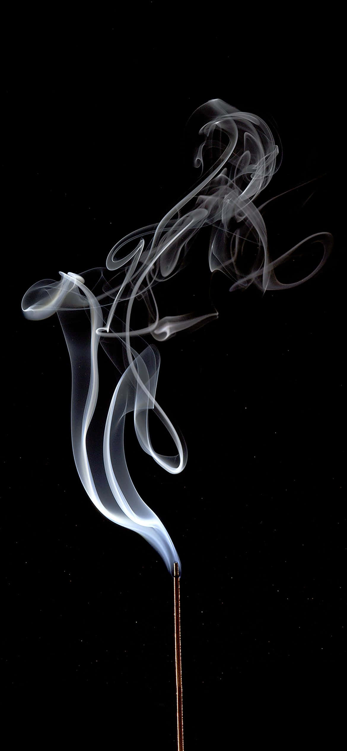 1170x2532 Wit Rook Kreatiewe Skoot Muurpapier