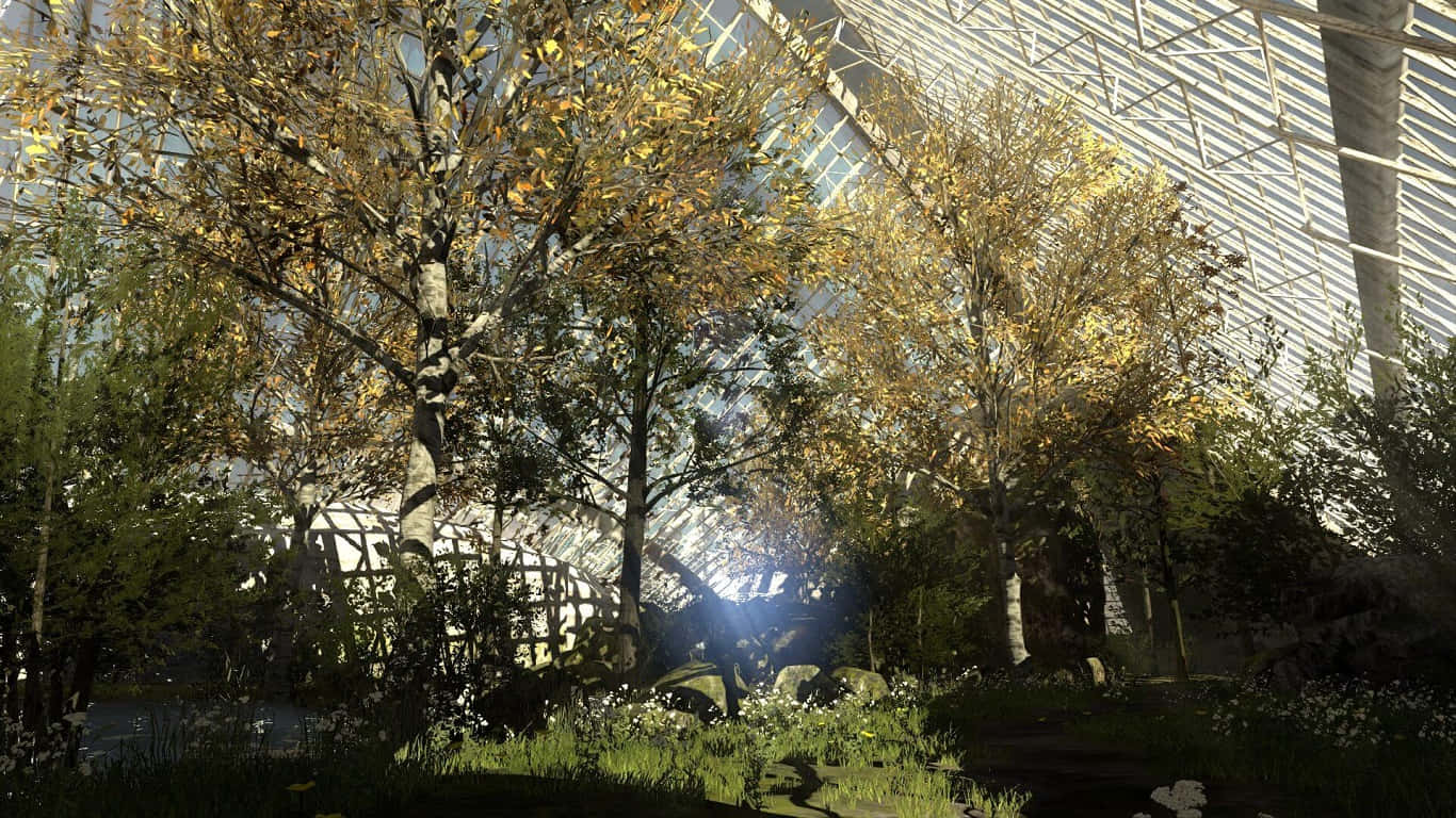 1366x768 The Talos Principle Gehenna Bos Agtergrond Muurpapier