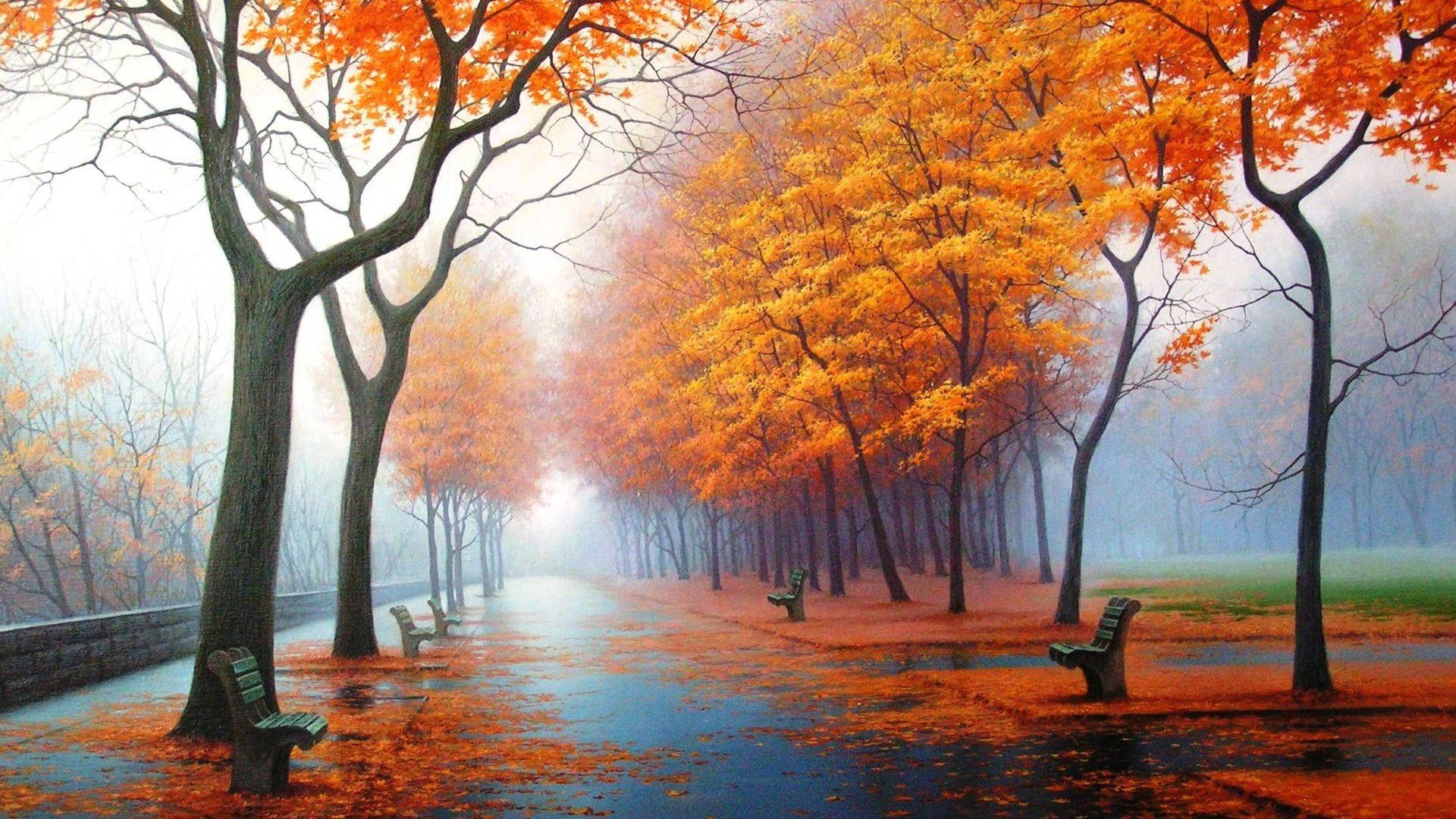 1920x1080 Volle HD Natuur Oranje Blare Bome Muurpapier