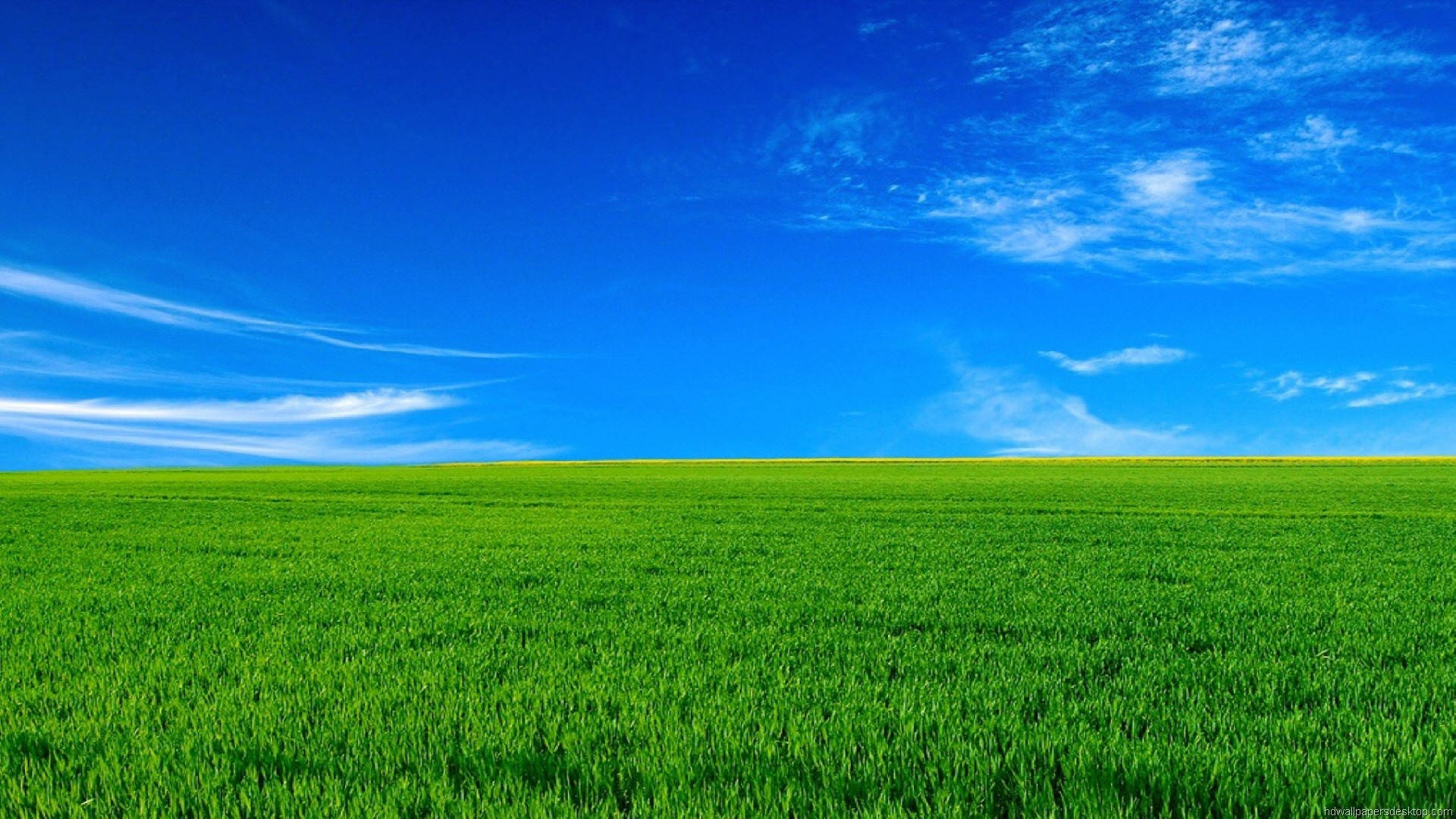 1920x1080 Volle HD Natuur Groen Gras Blou Lug Muurpapier