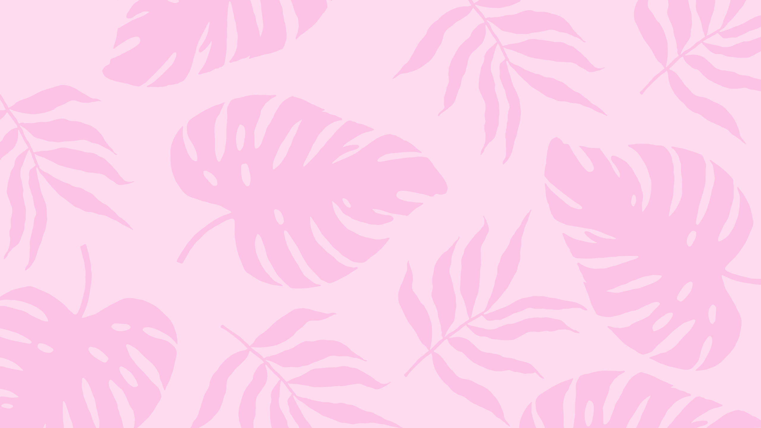 2560x1440 Somerplante Pienk Esteties Muurpapier