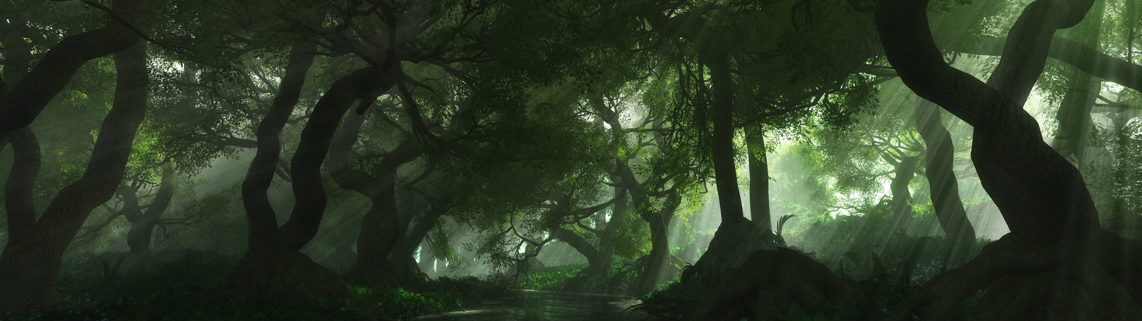 3840x1080 HD Dubbele Monitor Woud