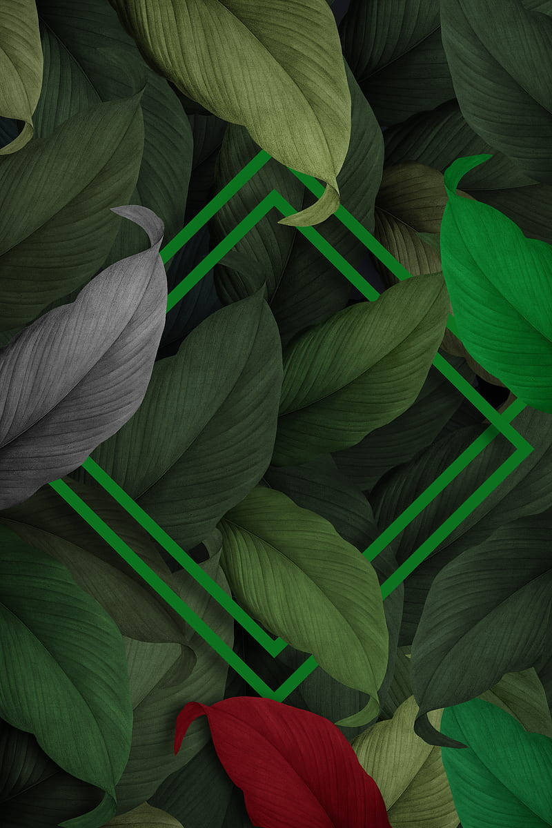 3D Groen Blare Muurpapier