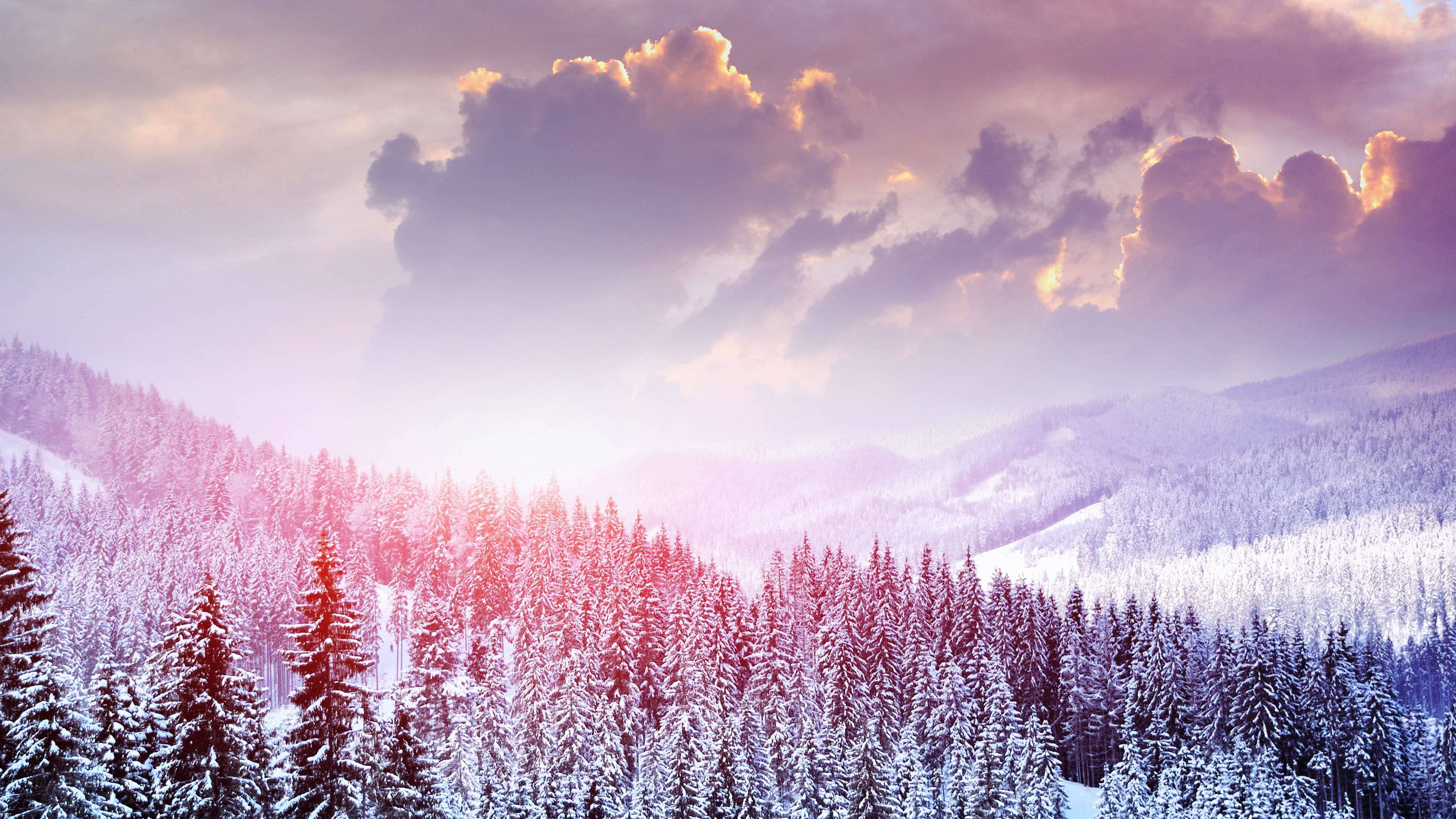 4K 16:9 Winterbos Muurpapier