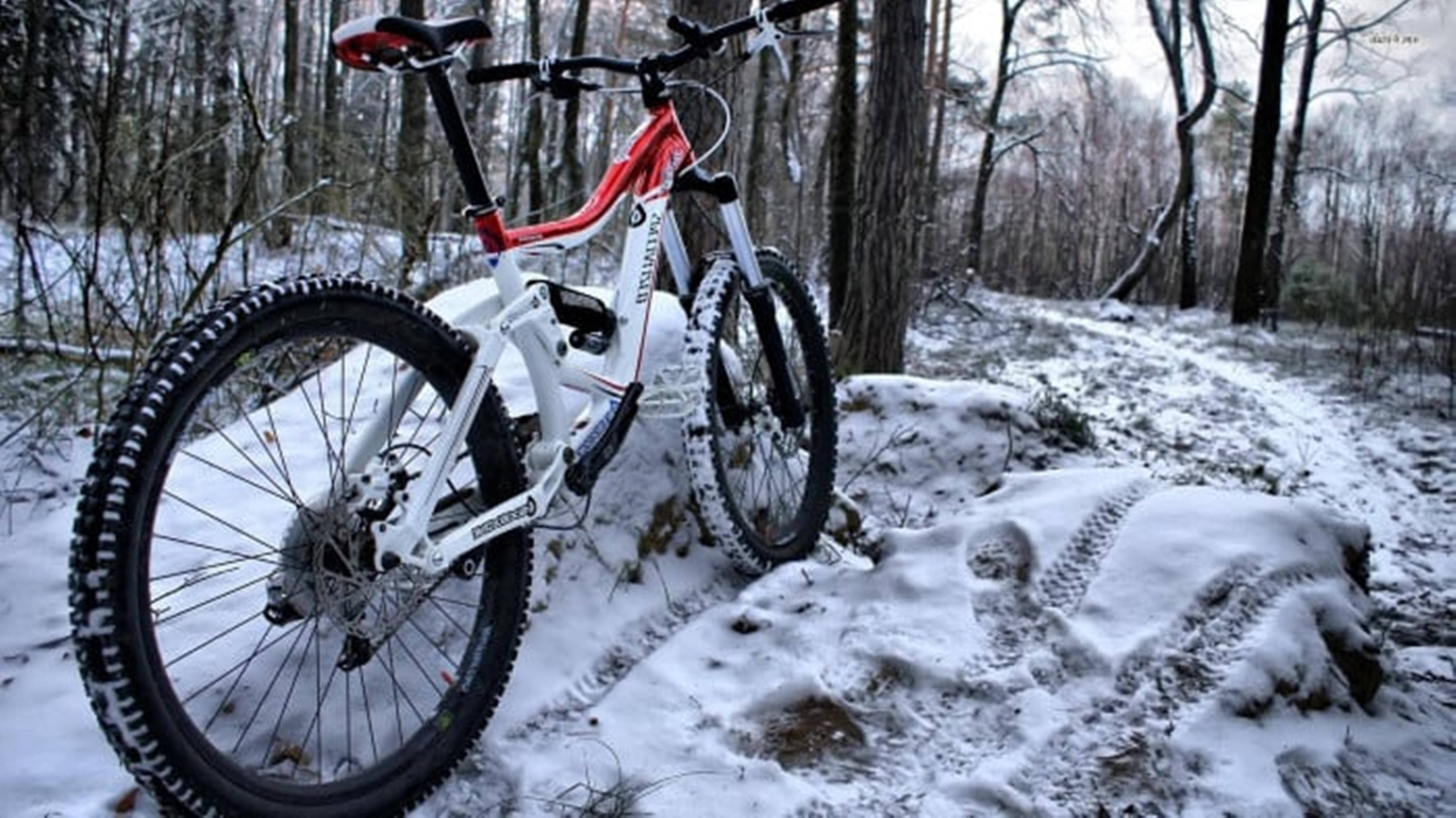 4K Bergfiets op Sneeubedekte Bos Muurpapier