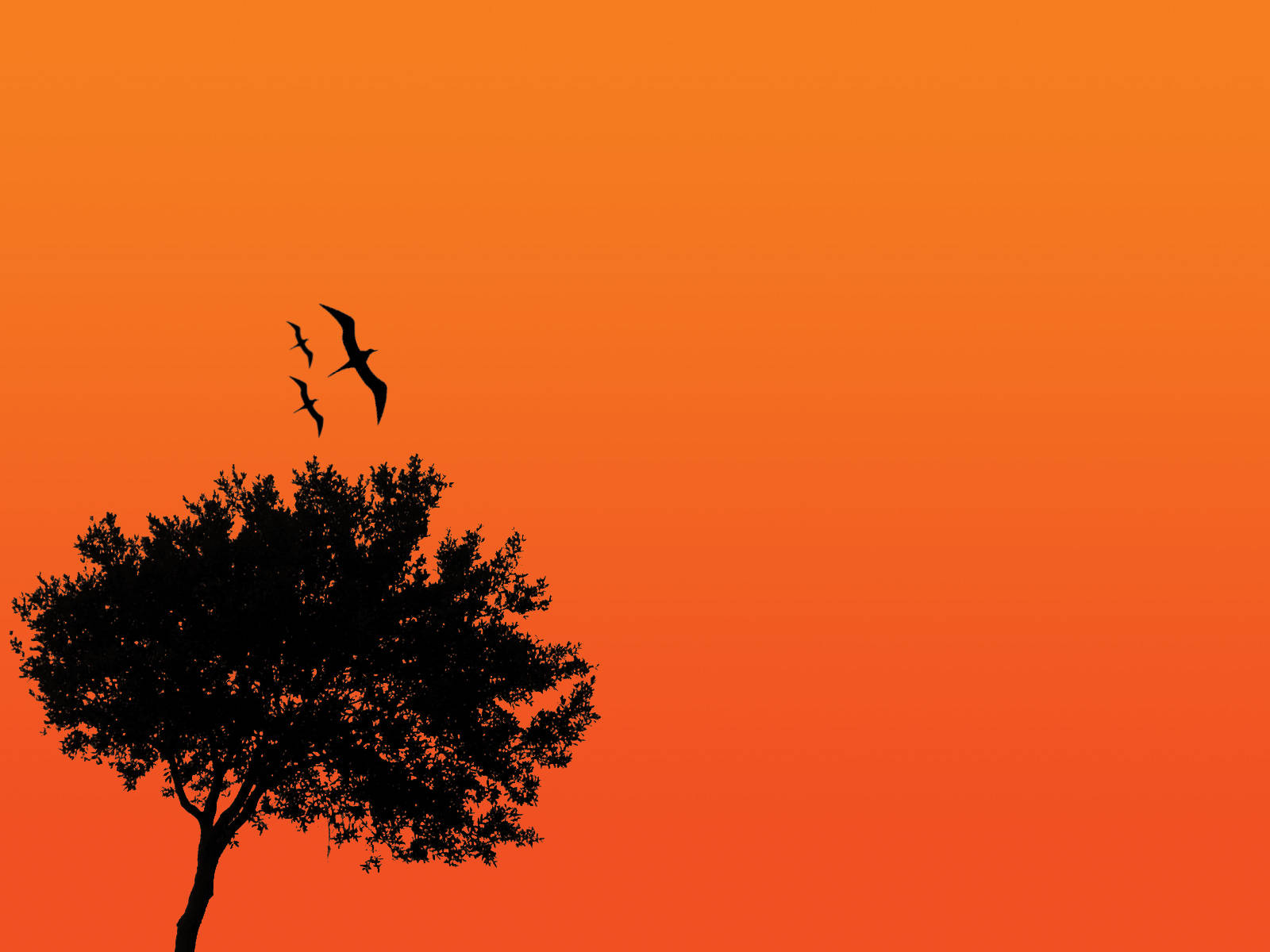4K Natuur Boom Silhouet Muurpapier