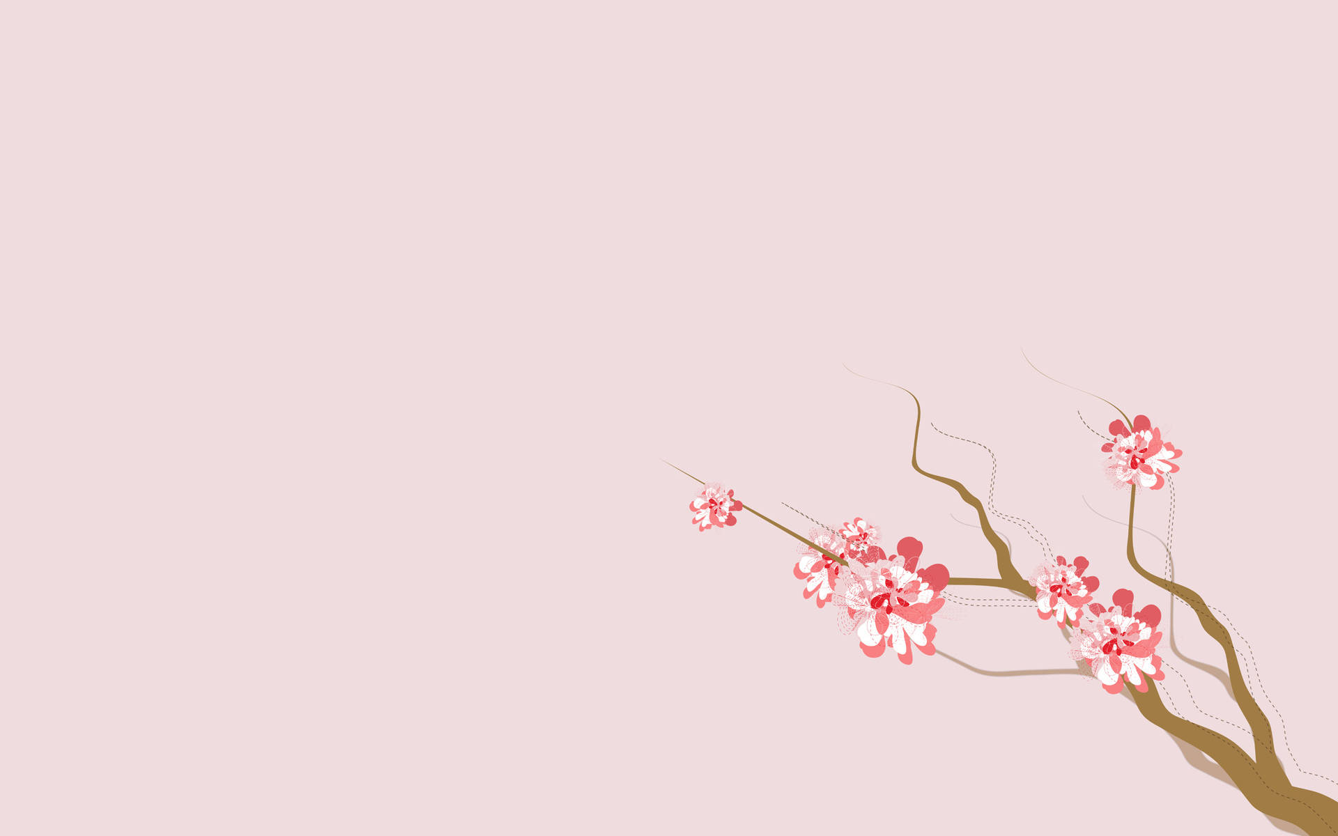 4k Natuur Sakura Blomme — 4K natuur GIF Muurpapier