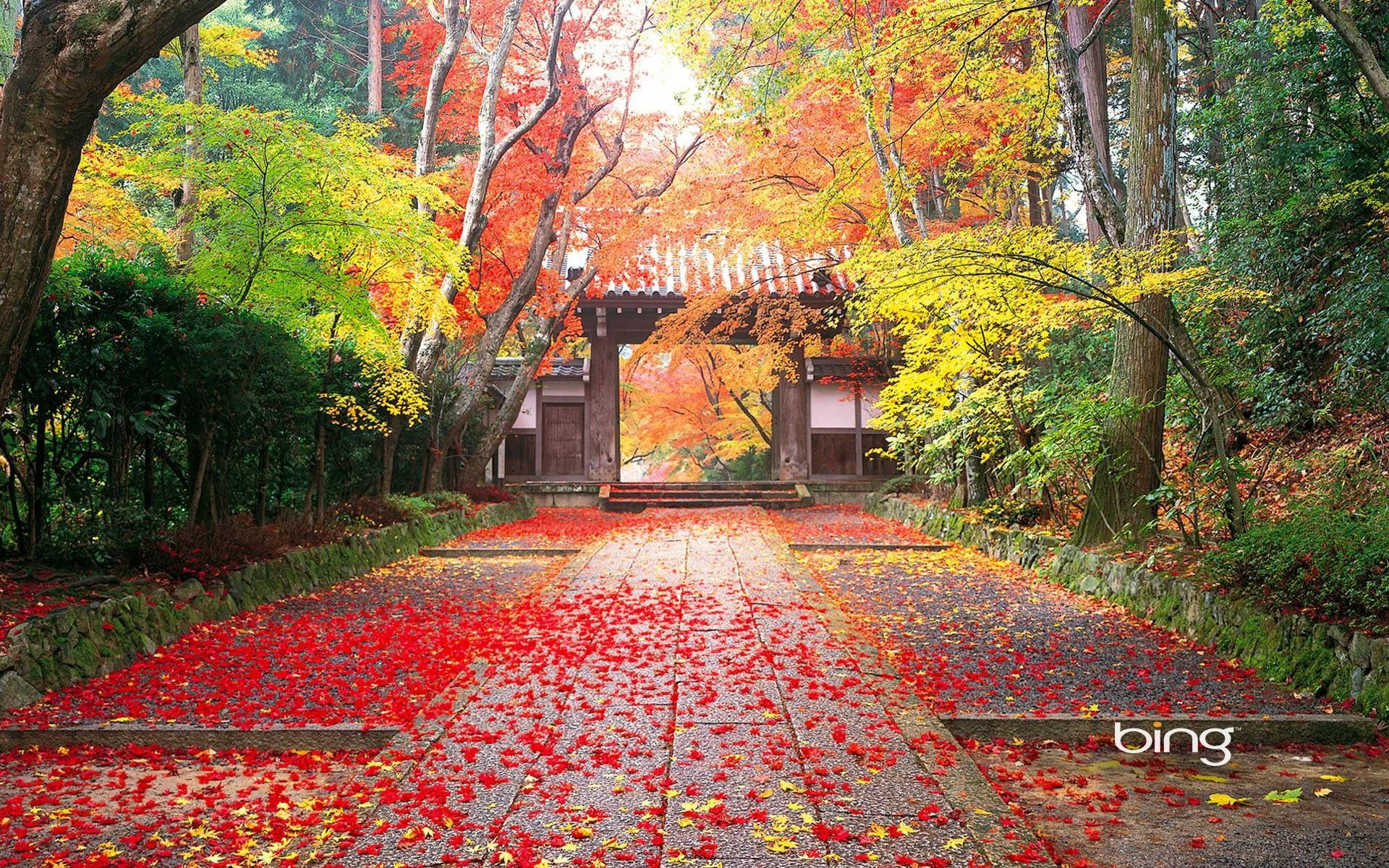 4K Natuur Tempel Ingang Muurpapier