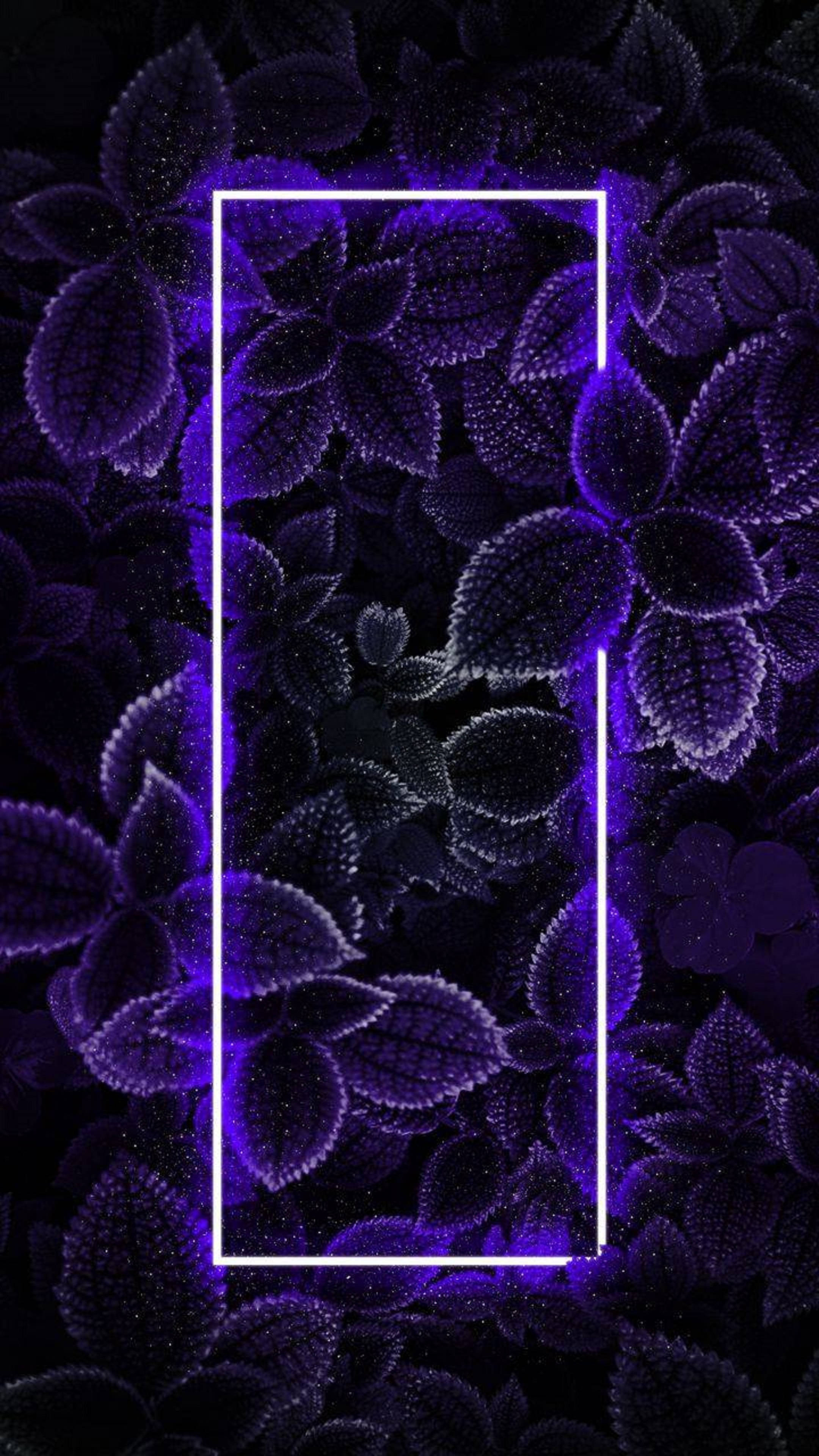4K Neon iPhone Loof Muurpapier