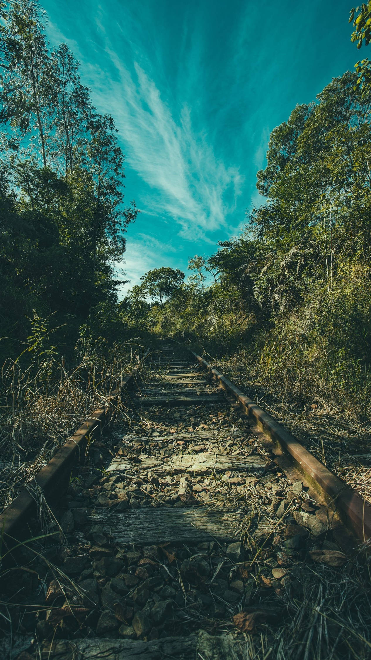 4K Ou Treinspoor Android Muurpapier