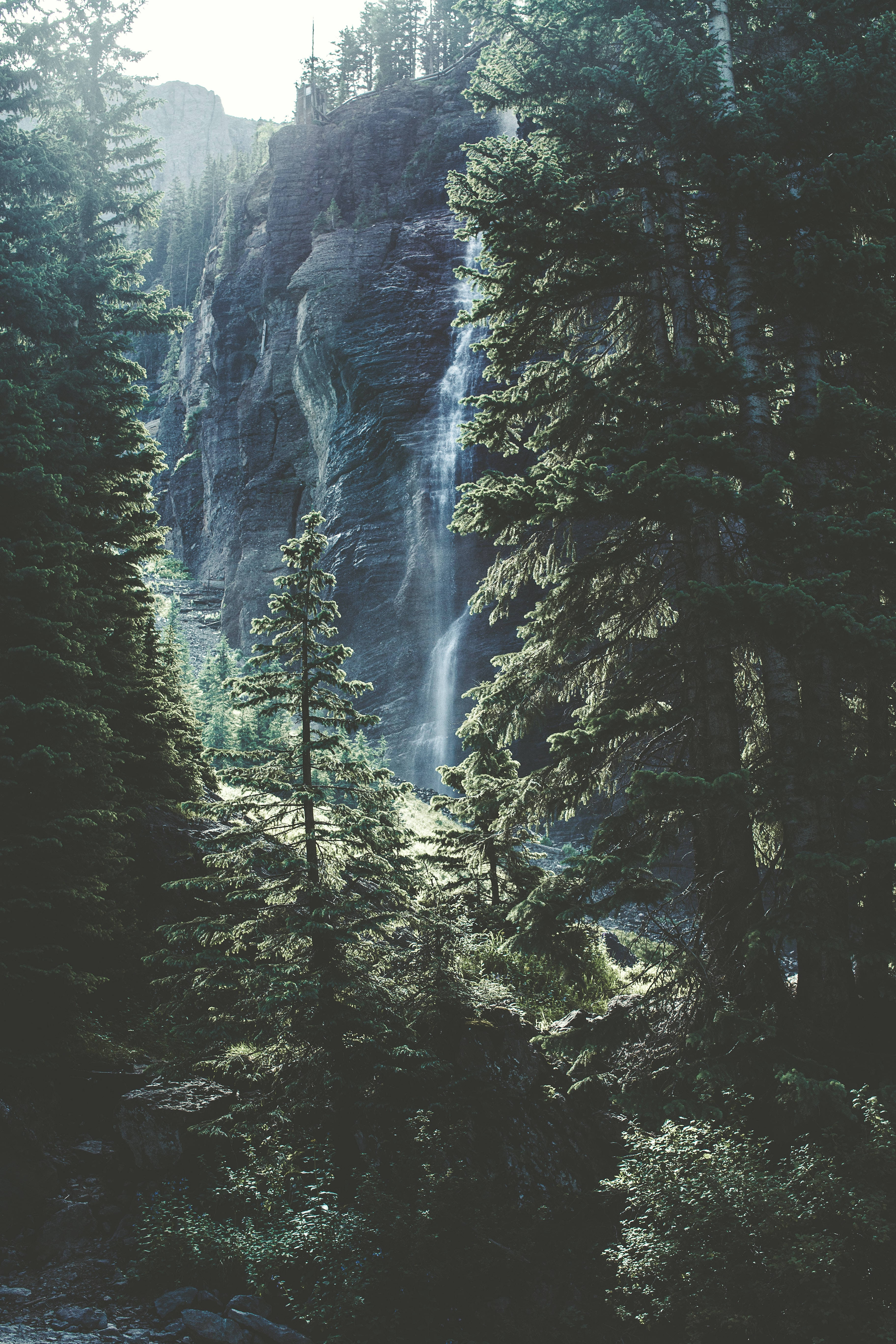 4K Ultra HD Telefoon Bos Waterval