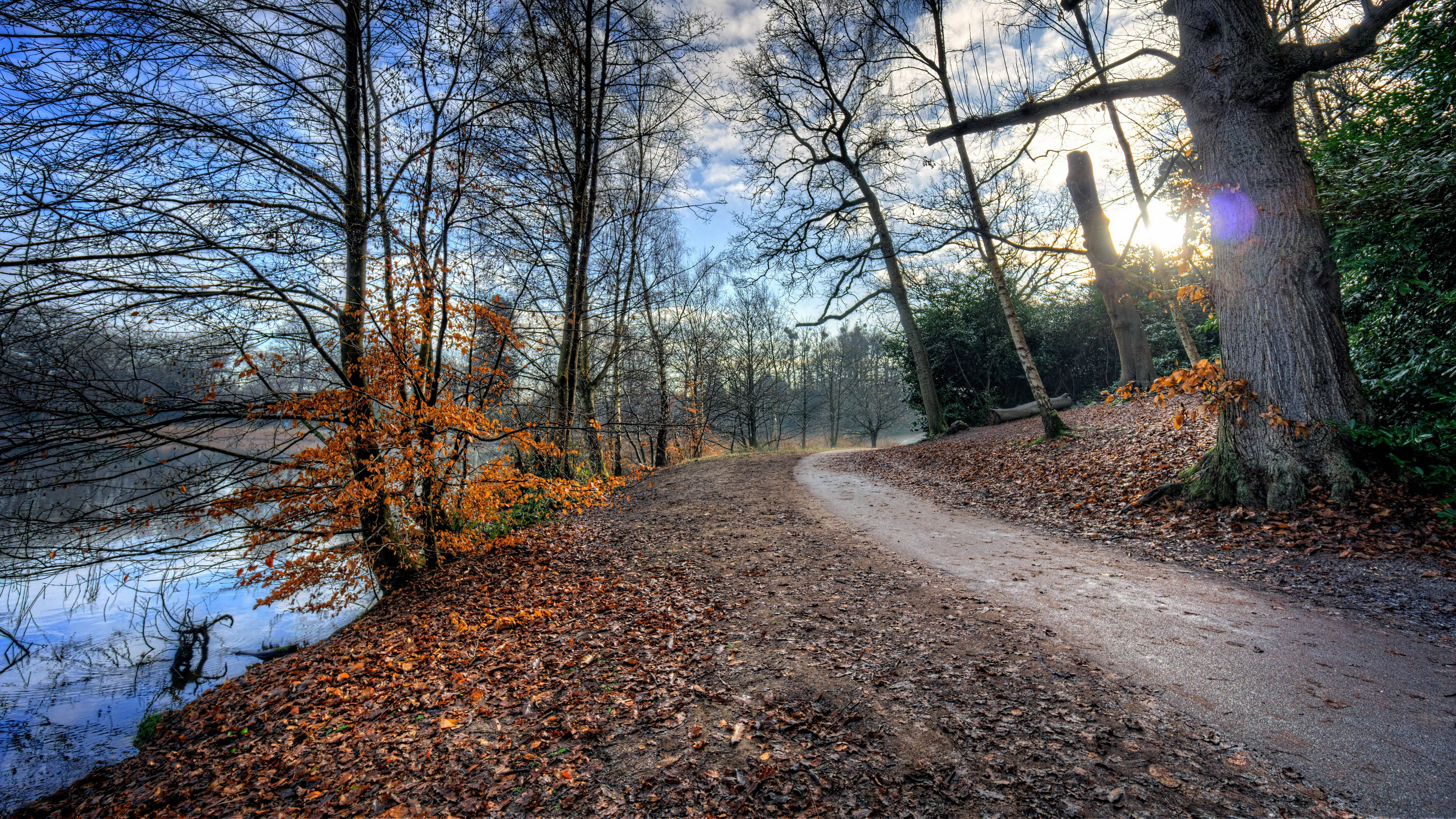 8K 7680x4320 Ultra HD Resolusie Buitenblad Rivierpaadjie Muurpapier