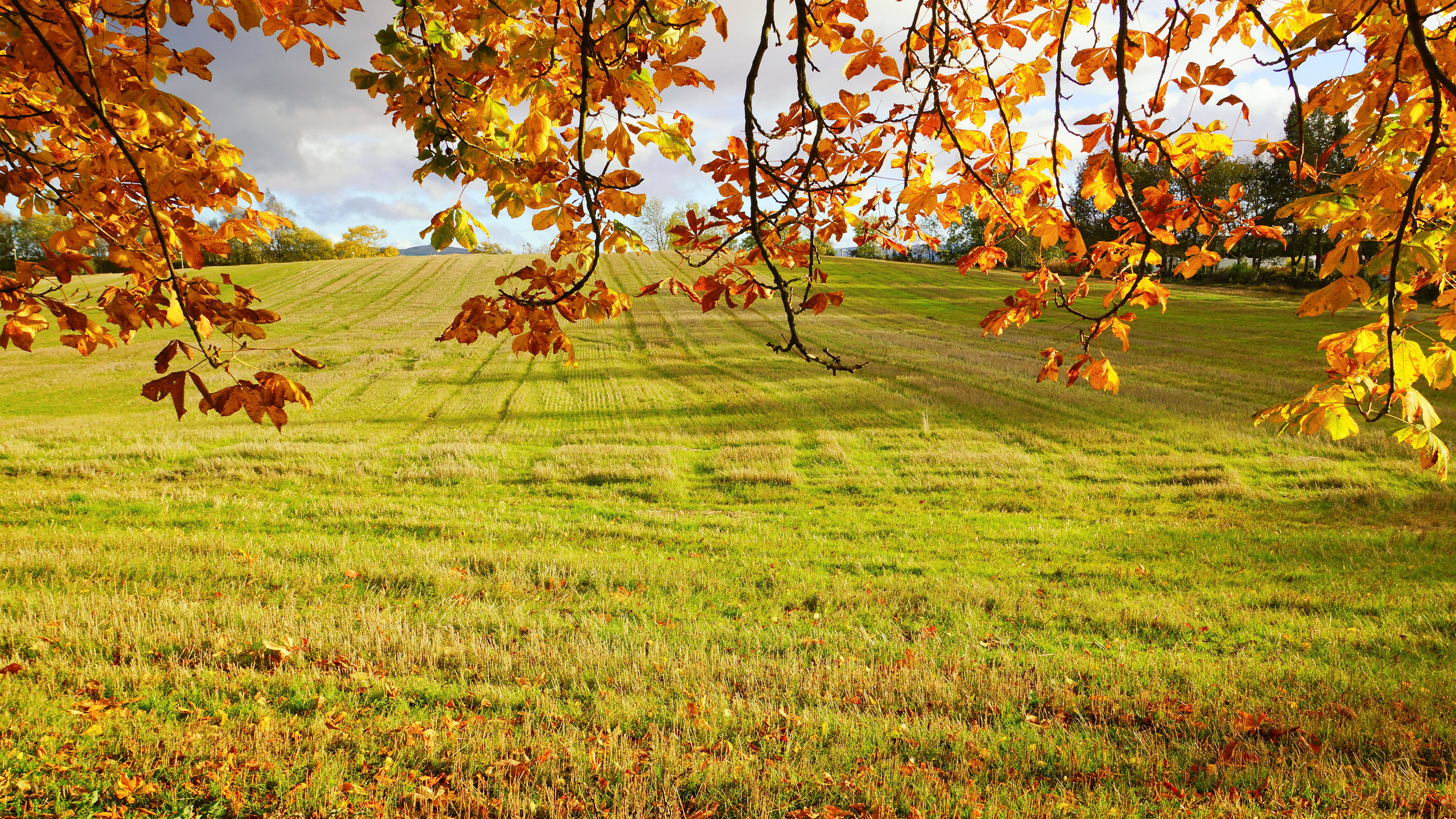 8K 7680x4320 Ultra HD Resolusie Bureaublad Veld Muurpapier