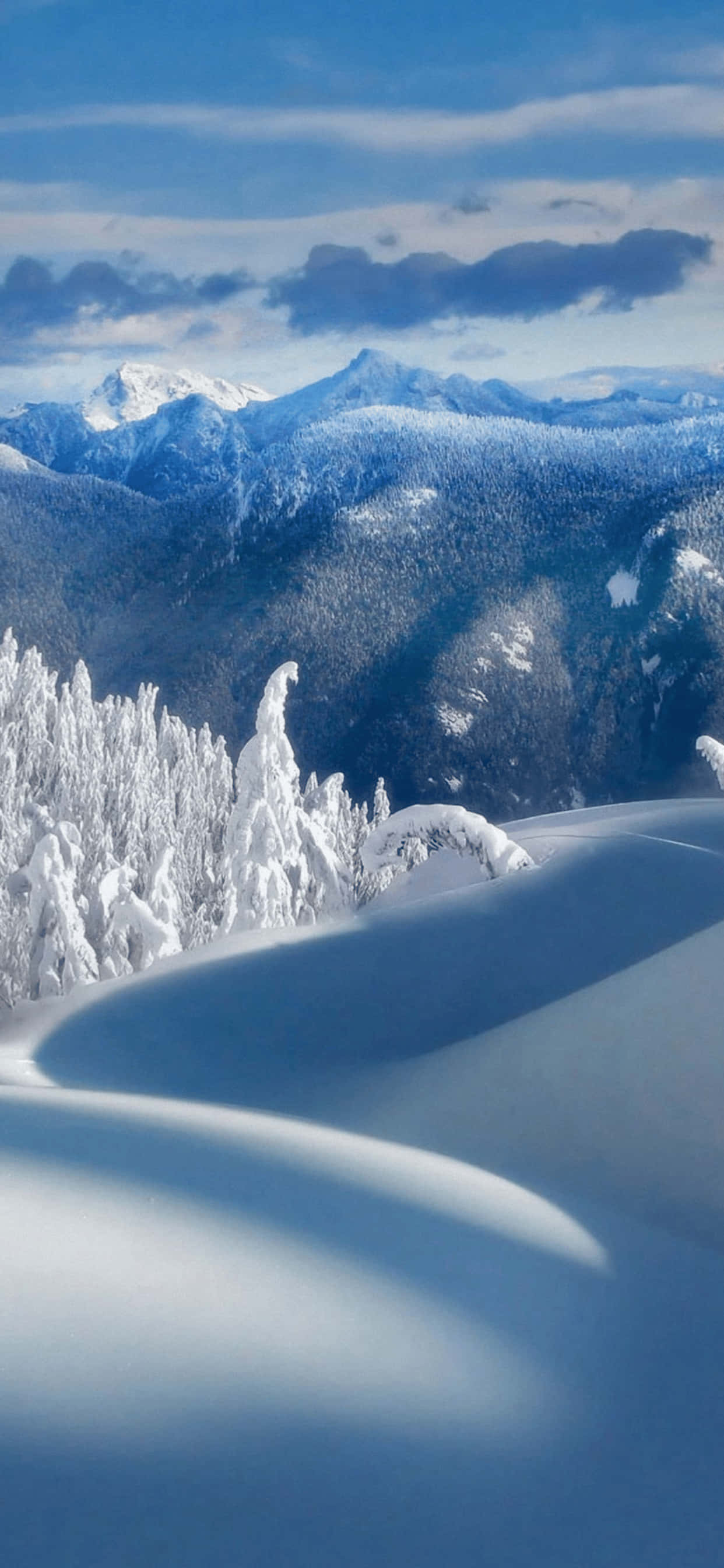 Aantreklike Winter Wonderland Agtergrond Geskik vir iPhone XS Max Muurpapier