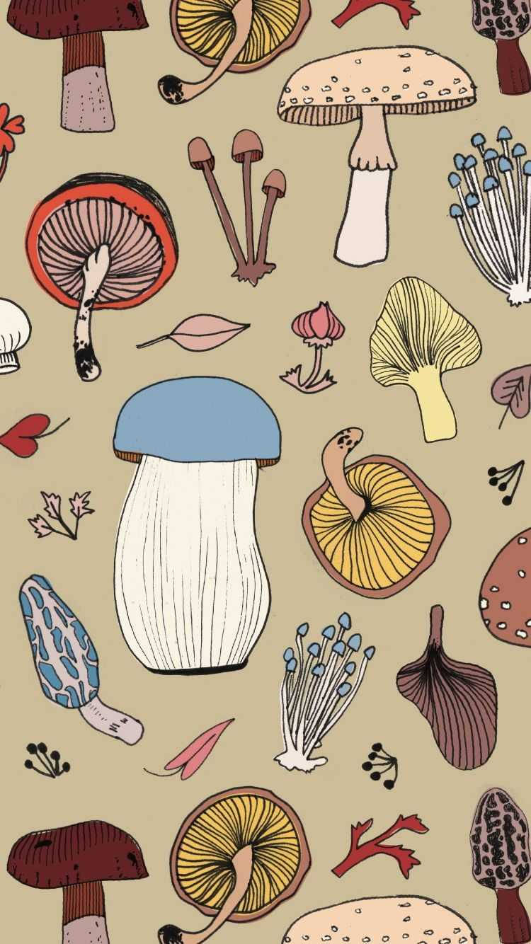 Aardse Sampioen Estetika Muurpapier