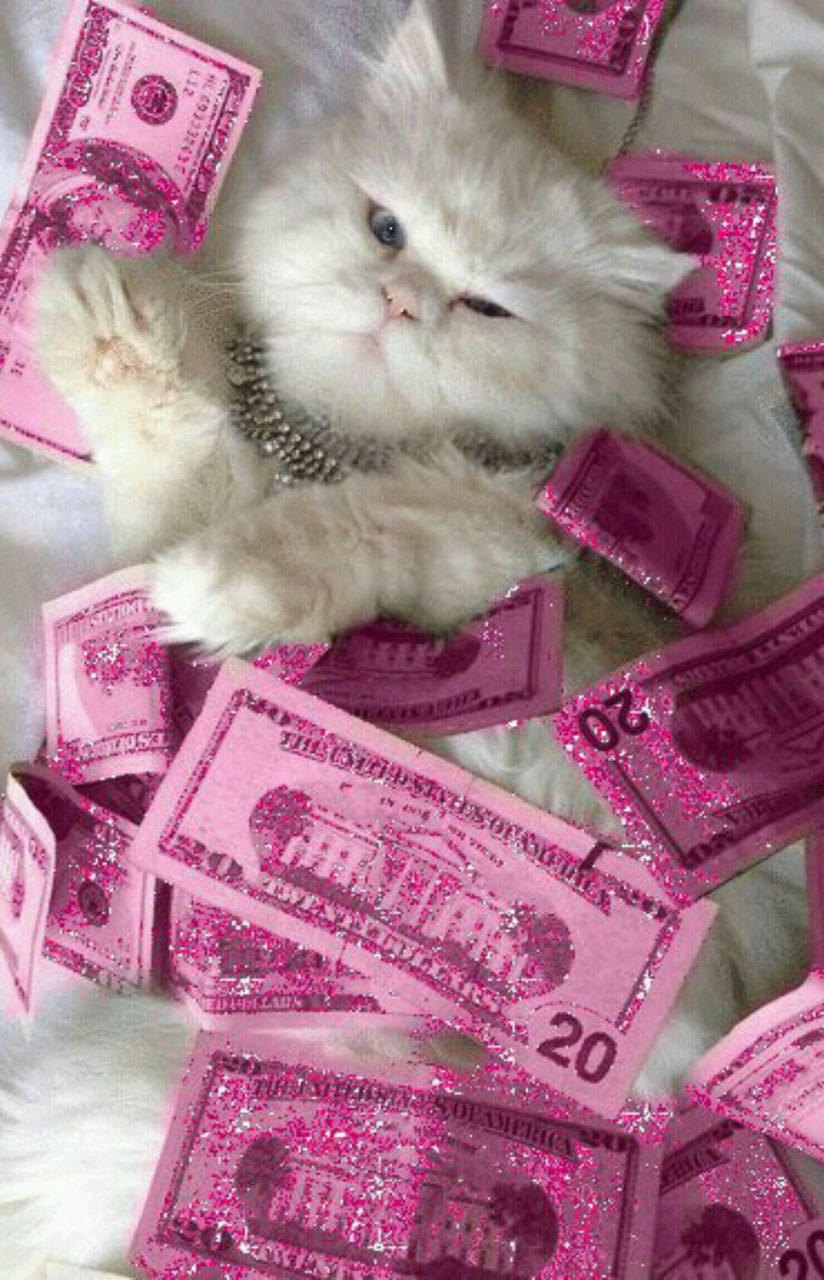 Aggergeld Kat Pienk Estetiese Note Muurpapier