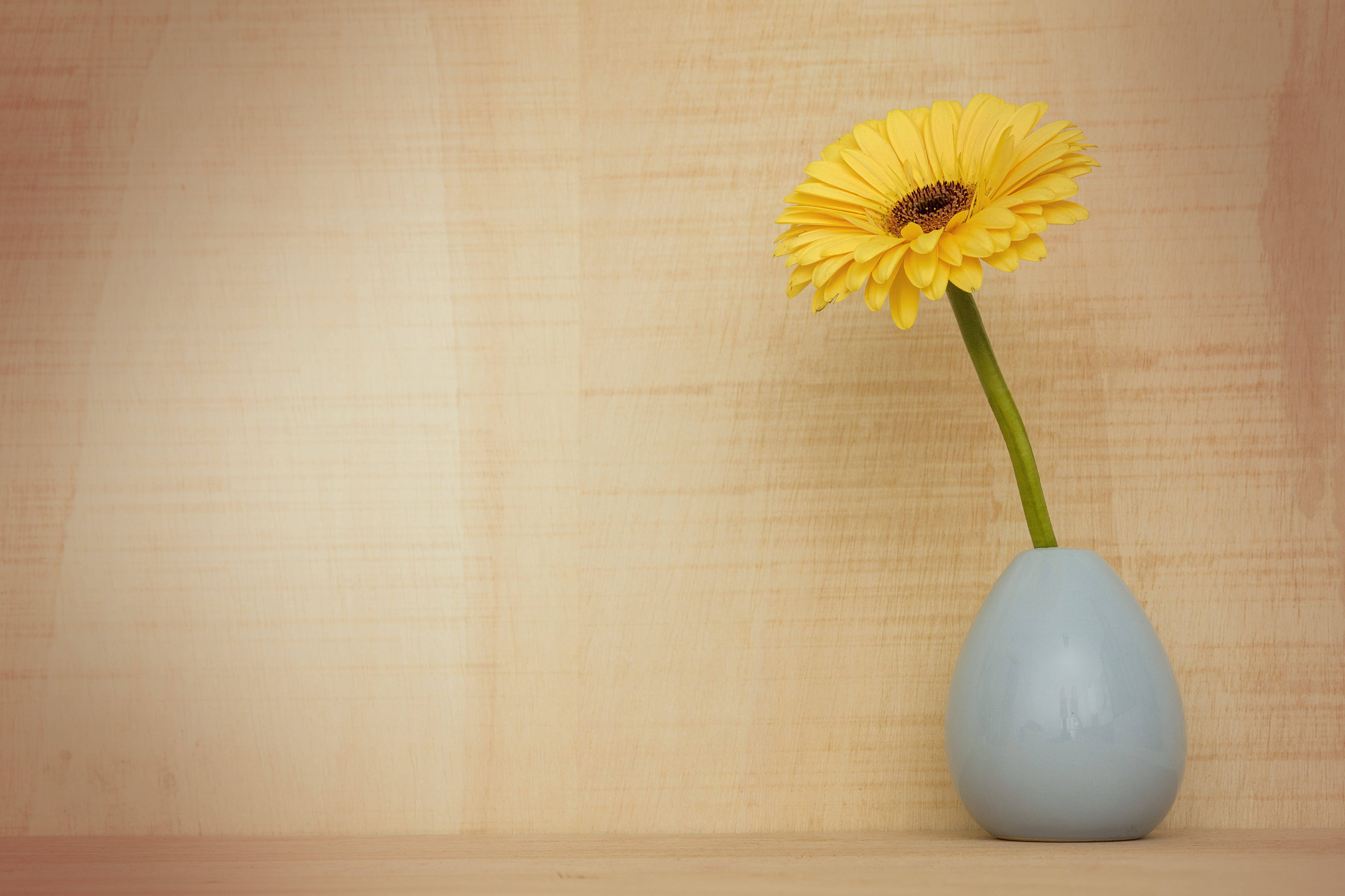 Agtergrondontwerp met Sambreelblomvaas Muurpapier