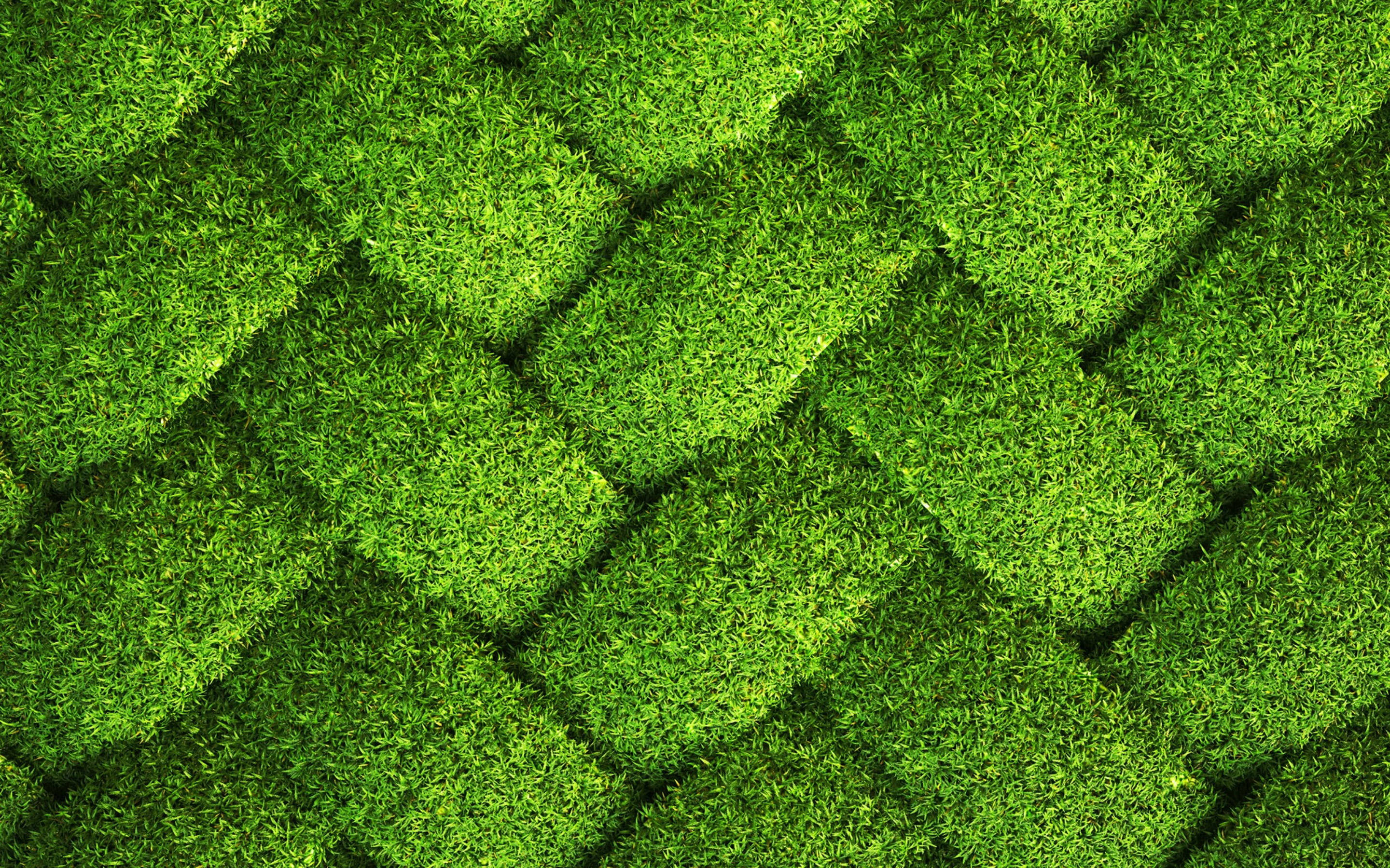 Agtermekaar Gevlegde Gras Agtergrond Muurpapier