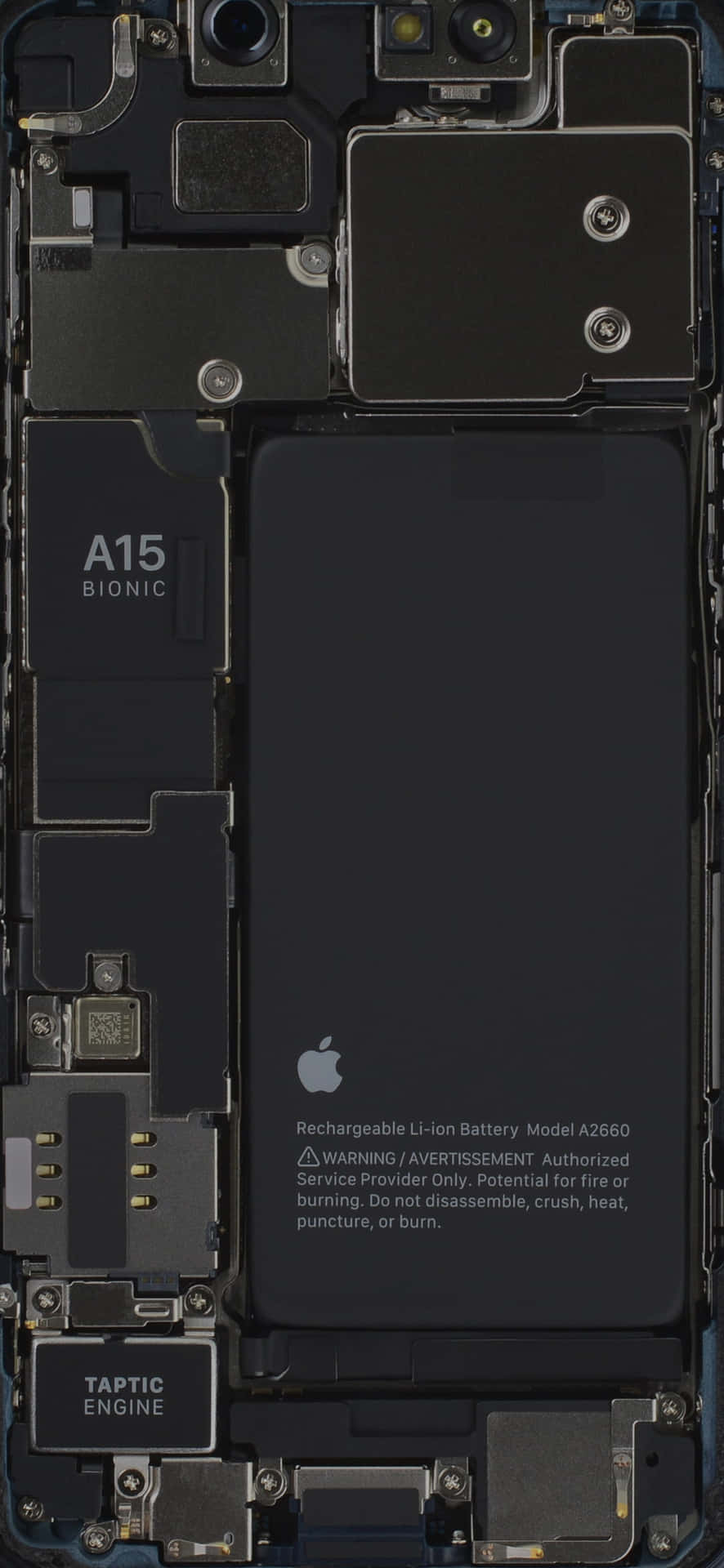 All Nuwe iPhone 13 Mini - Ervaar Ware Hoëdefinisie Muurpapier