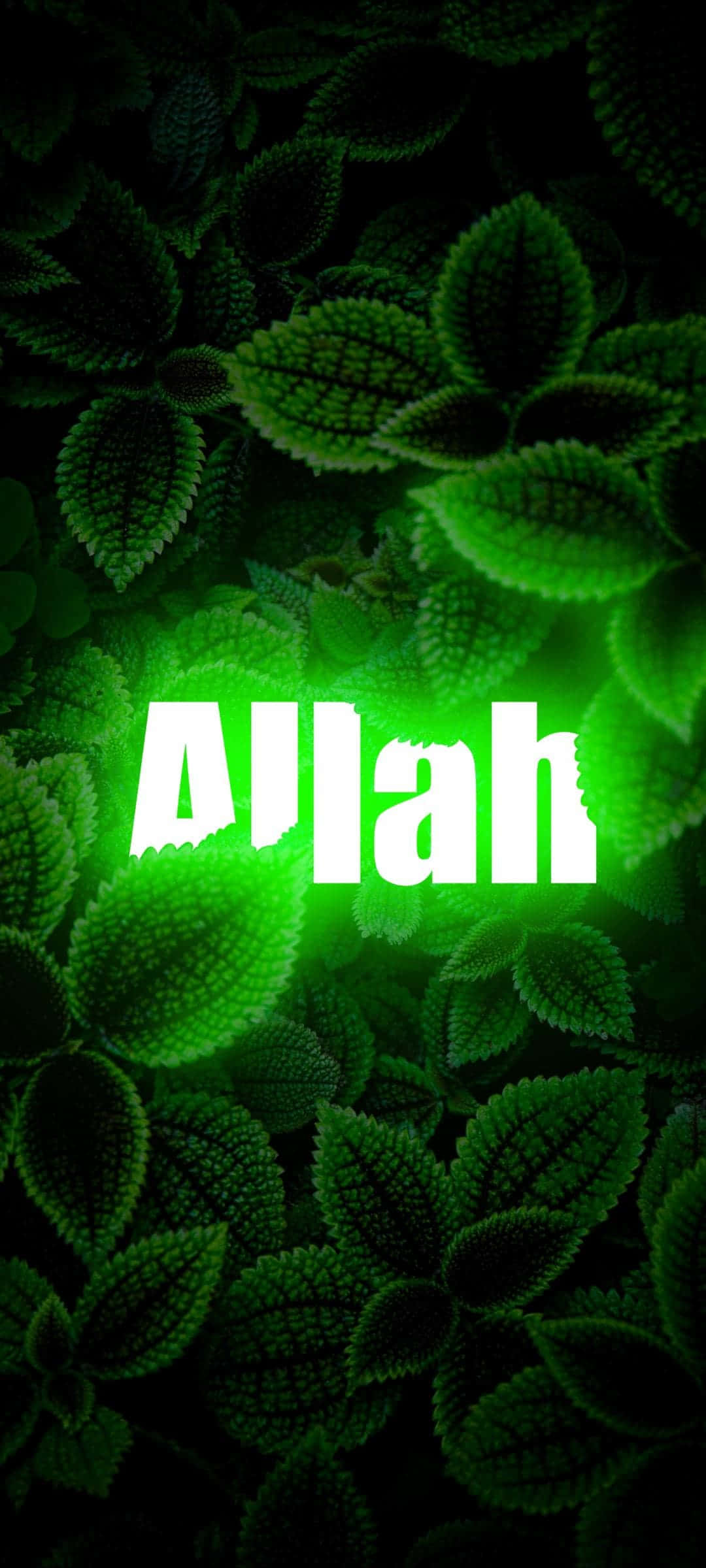 Allah is die Opperste Skepper en Bron van alle lewe Muurpapier