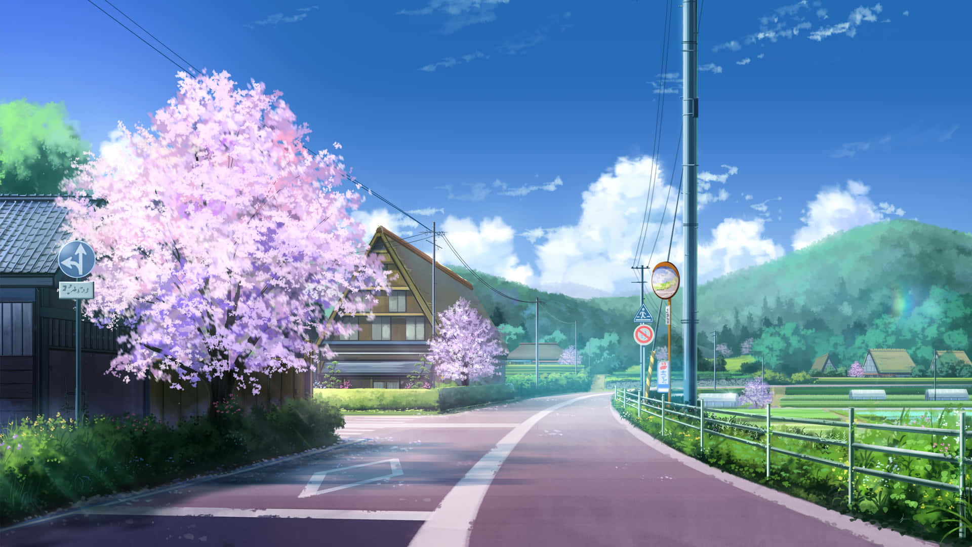Anime Kersiebloeisel Agtergrond — Kersiebloeisel Muurpapier