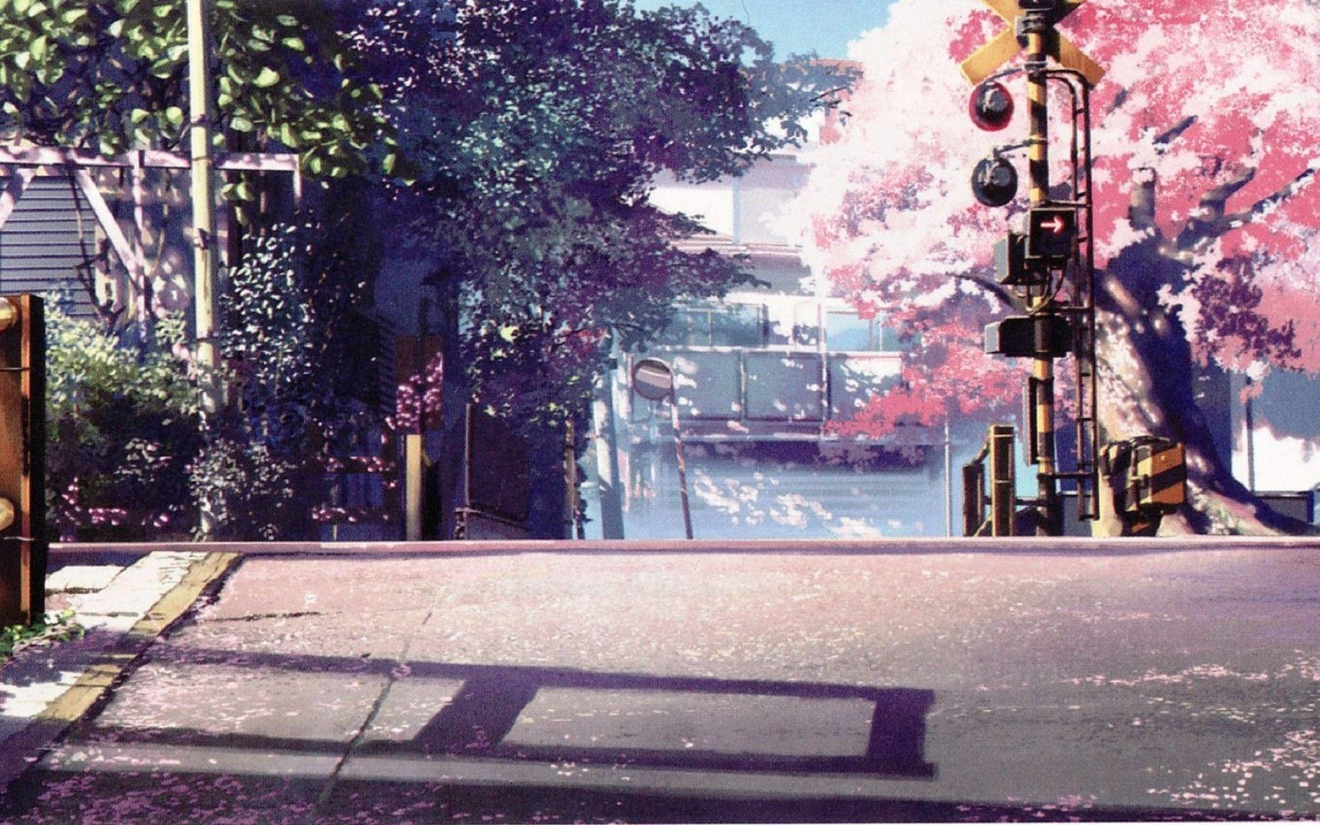 Anime Landskap Kersiebloeisels Muurpapier