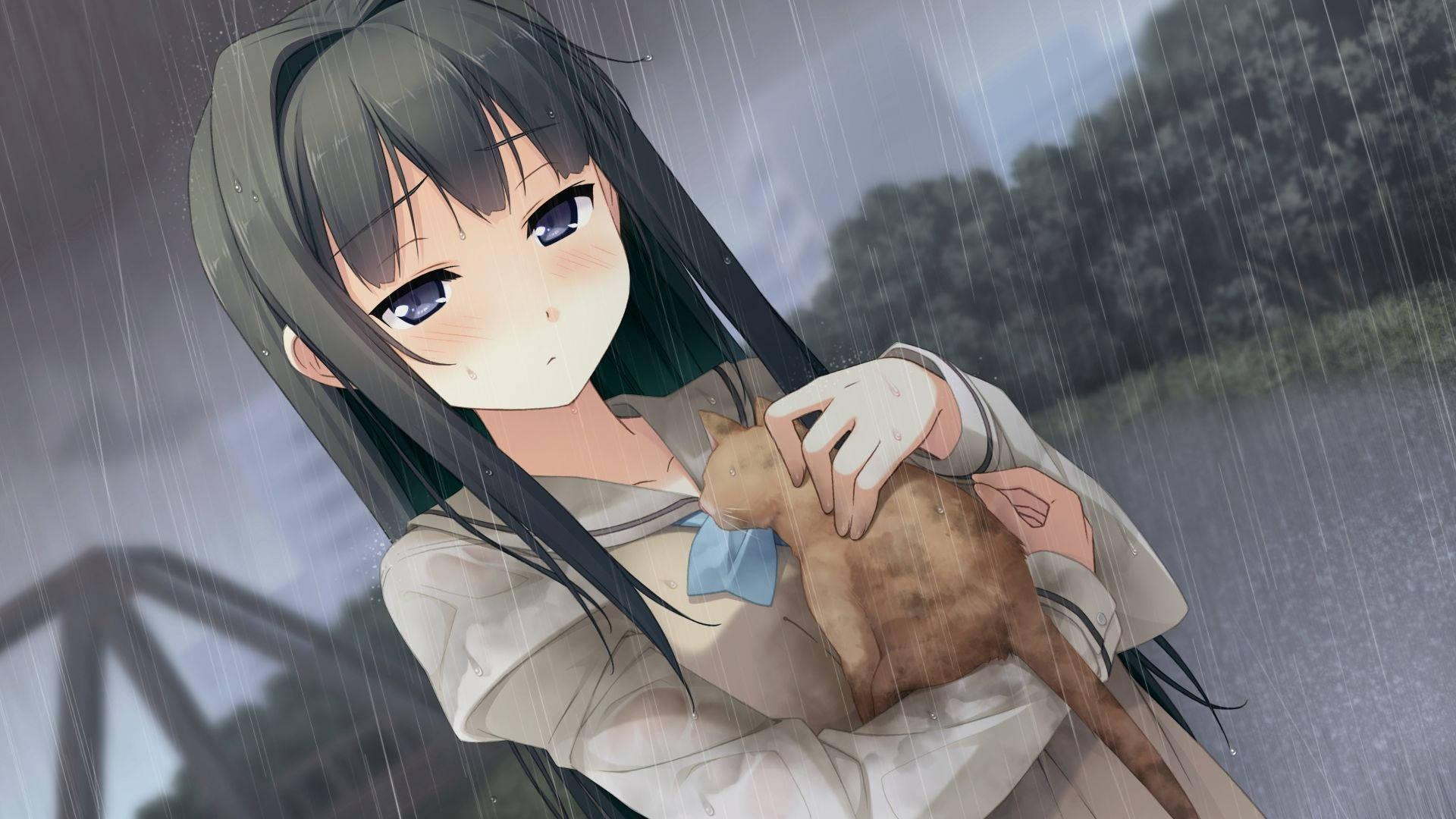 Anime Meisie wat Kat Vashou Nightcore Muurpapier