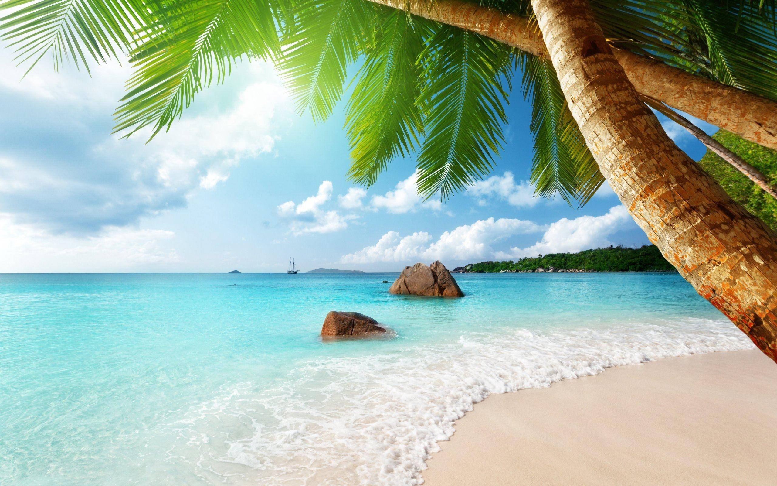 Anse Lazio See-uitsig Muurpapier