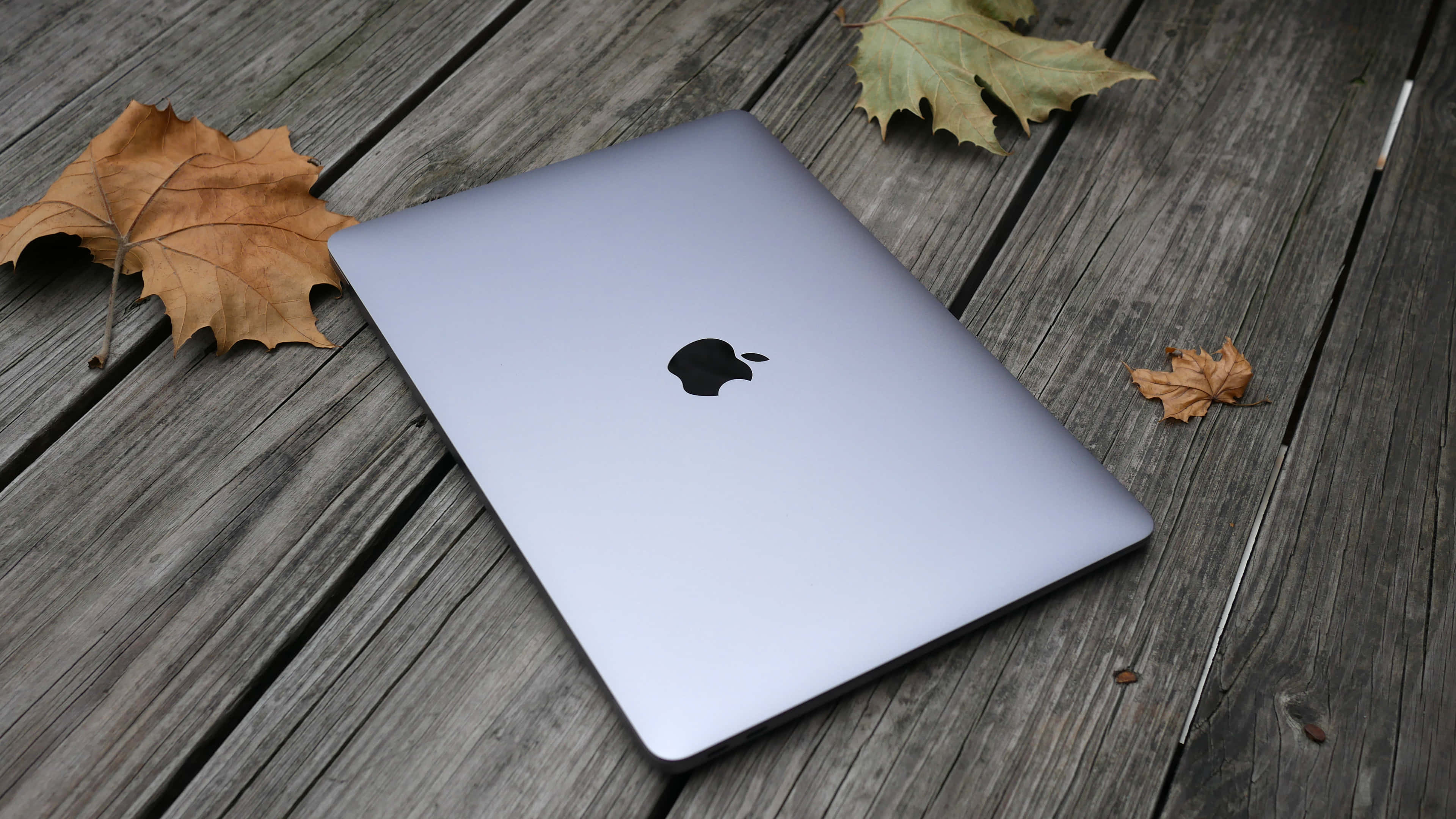 Apple MacBook-skootrekenaar in wit Muurpapier