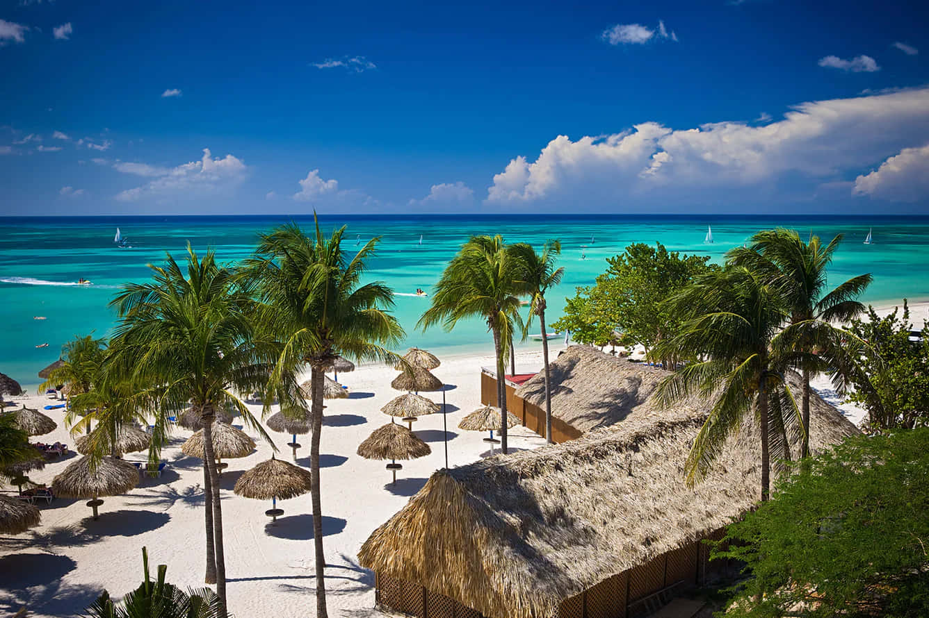 Aruba-strand Met Palmbome Prente Muurpapier