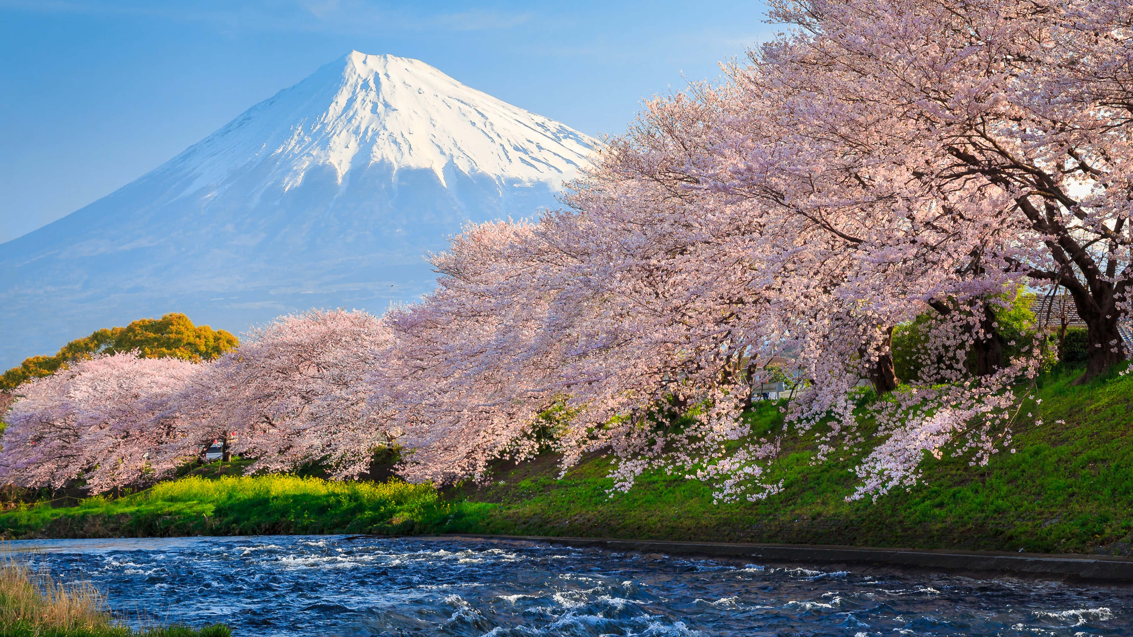 Asemrowende uitsig oor tradisionele huise en groen in die platteland van Japan Muurpapier