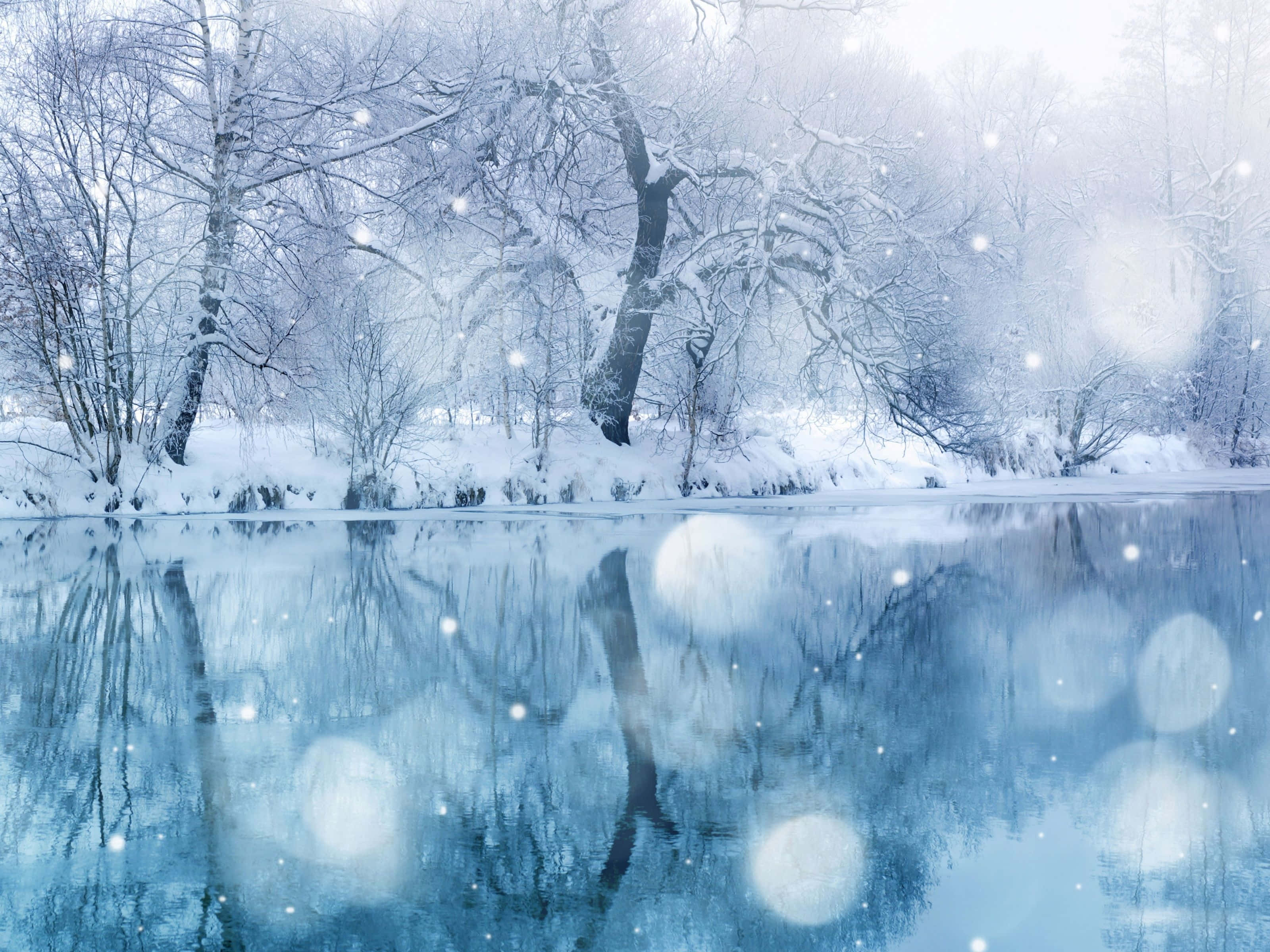 Asemrowende Winter Wonderland Muurpapier