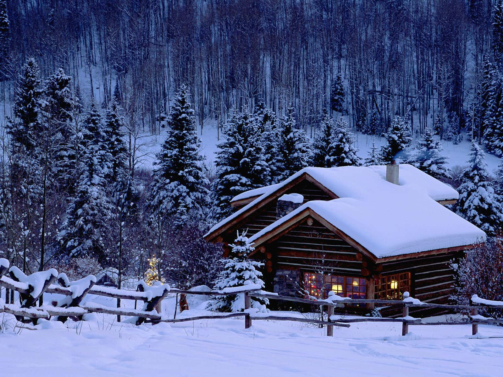 Asemrowende Winterwonderland Muurpapier