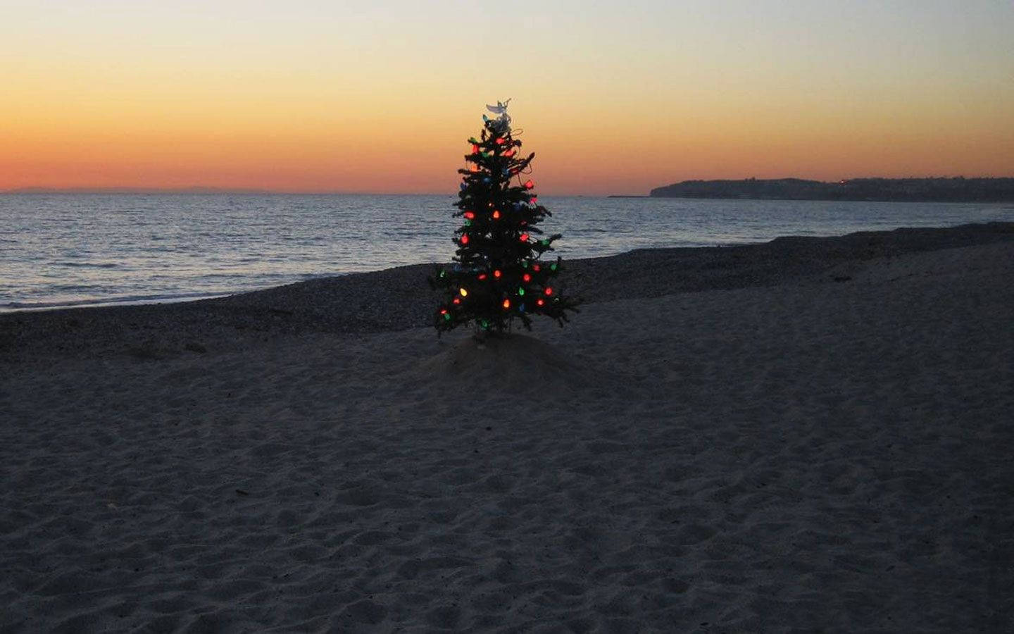 Australiese Kersboom op Strand Muurpapier