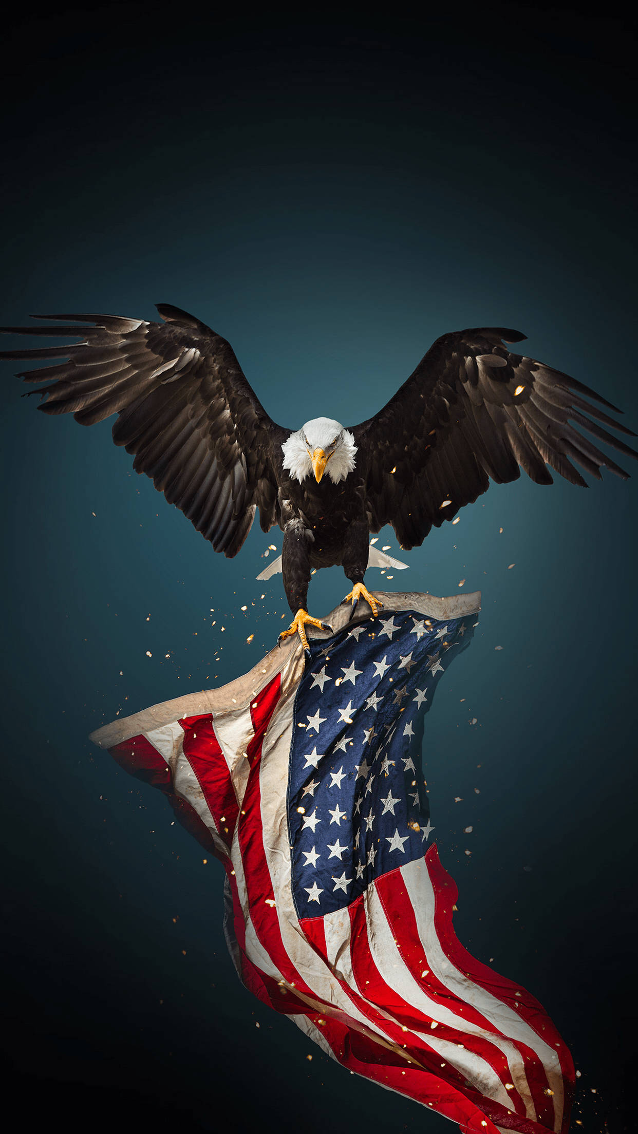 Bald Eagle Amerikaanse Vlag Koel iPhone Muurpapier