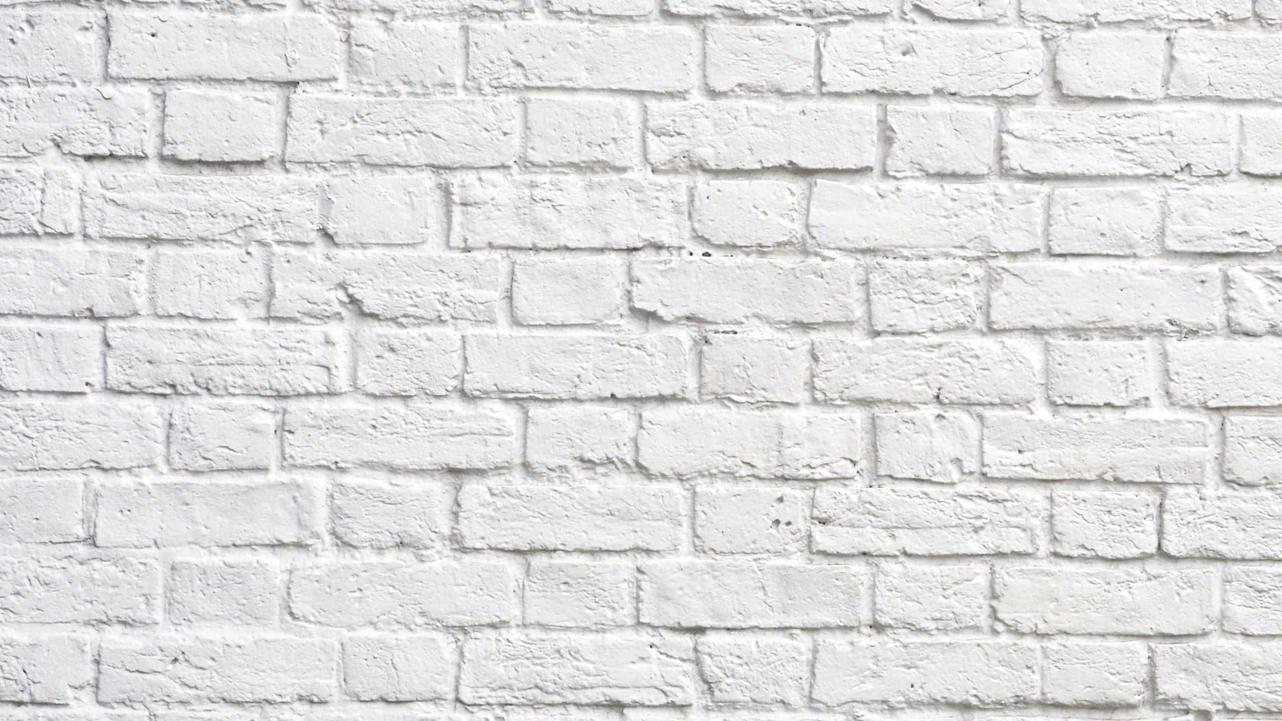Beeld Monochroom Estetiek – Skerp Wit Muurpapier