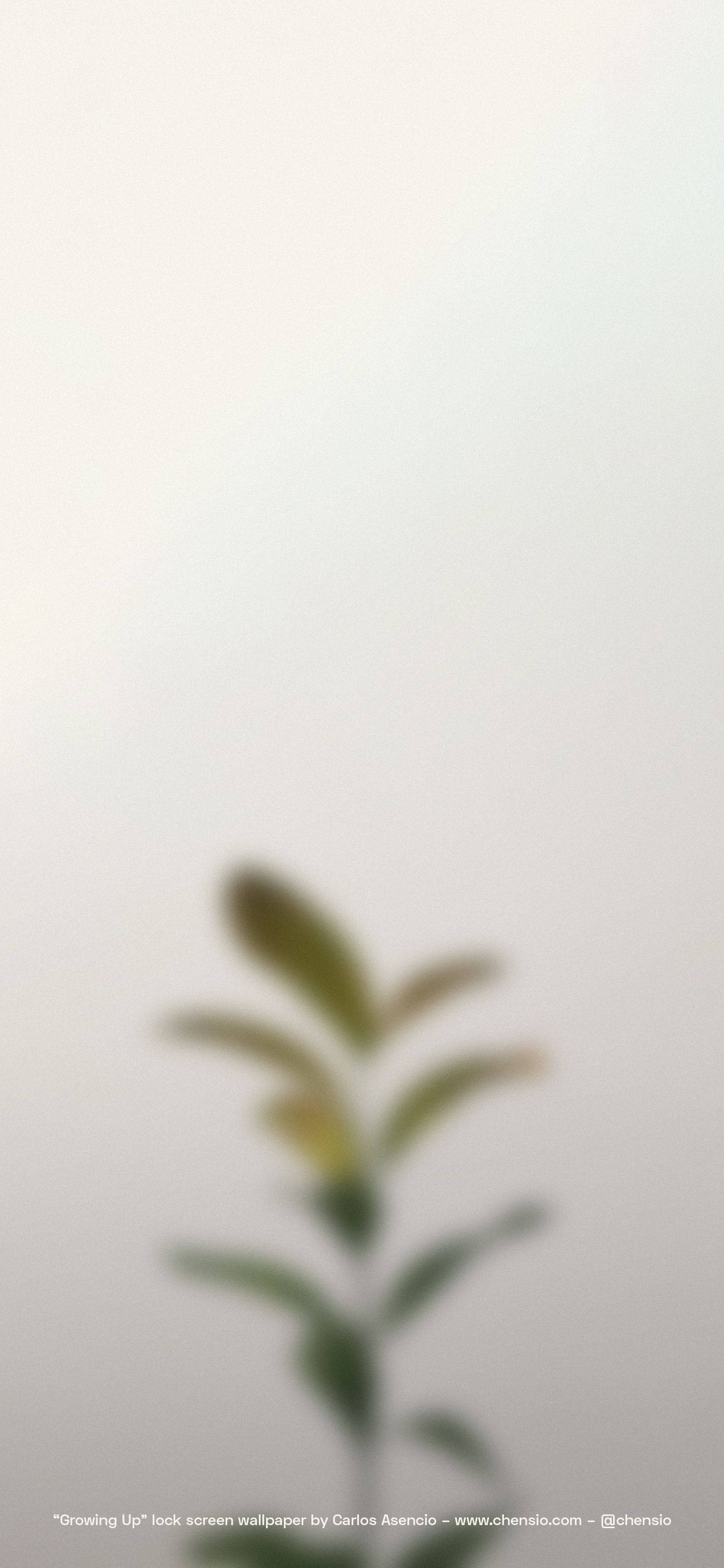 Beige iPhone vir 'n Kontemporêre Styl Muurpapier