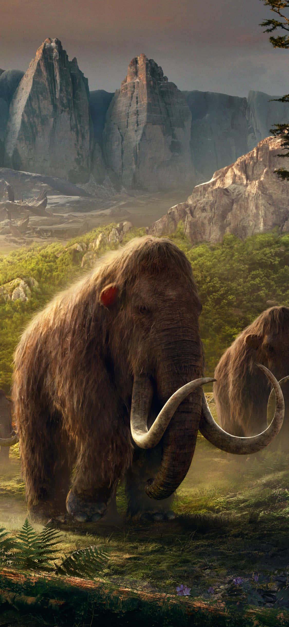 Ervaar die opwinding van Far Cry 4 op die iPhone Xs Muurpapier