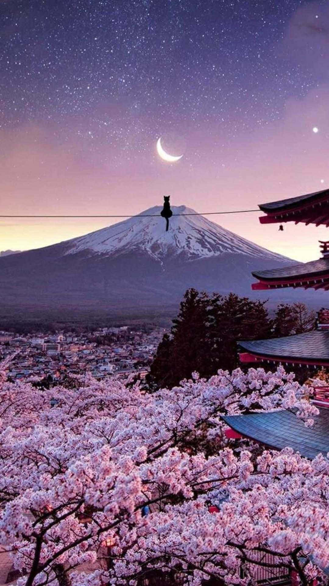 Japannese Iphone — Japan GIF Muurpapier