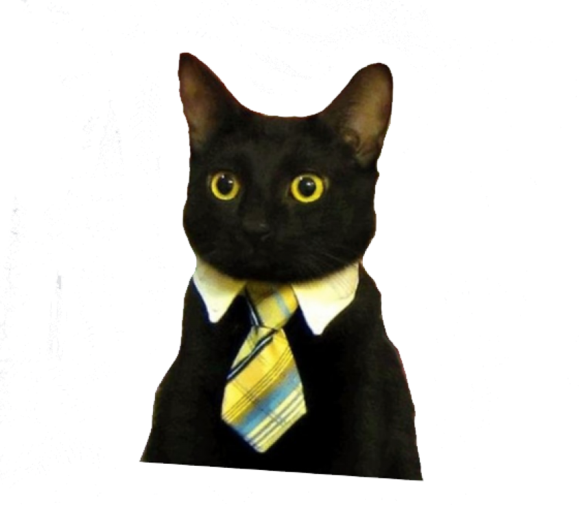 Besigheid Kat Meme.PNG Muurpapier