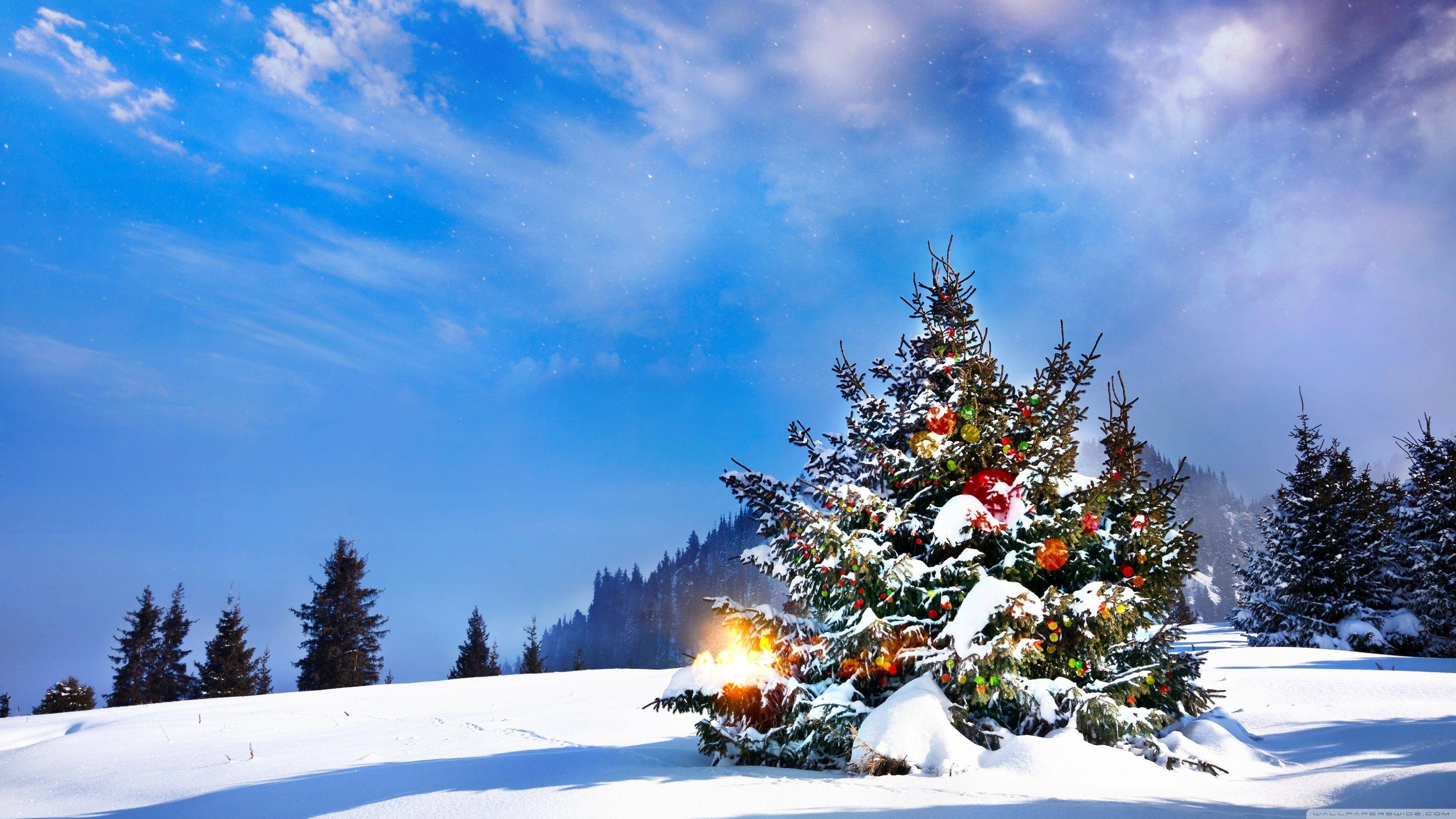 Betowerende 4K Ultra HD Kersboom in Sneeuw Muurpapier