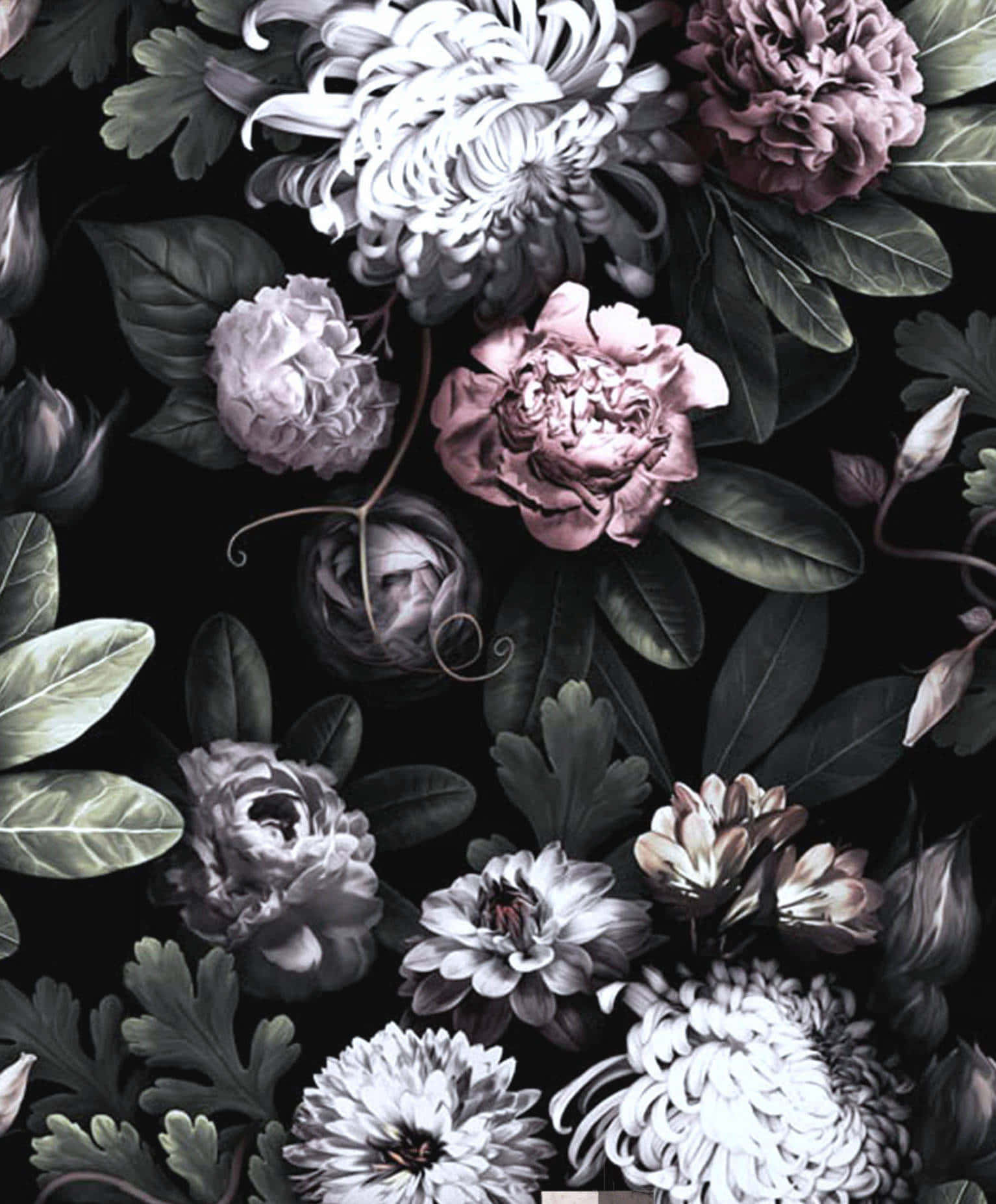 Betowerende Donker Blomme-agtergrond Muurpapier