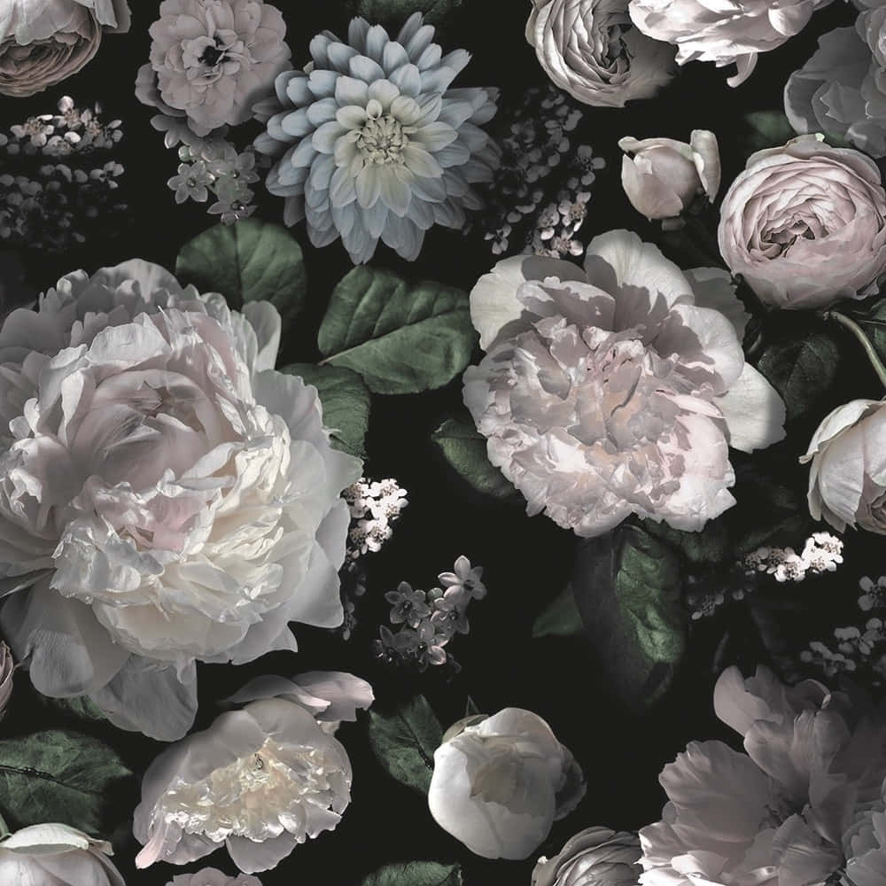 Betowerende Donker Blomme-agtergrond Muurpapier