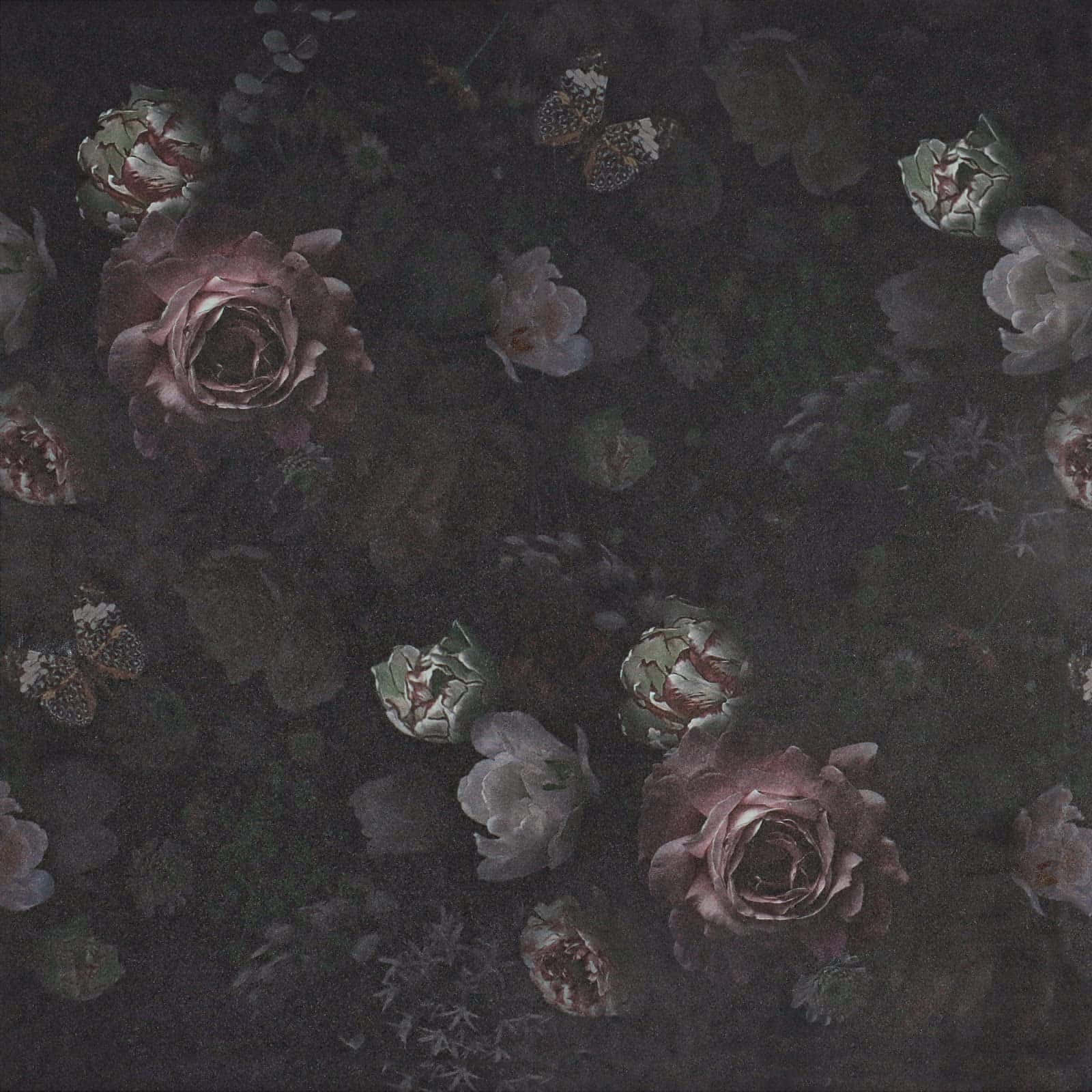 Betowerende Donker Blomme Agtergrond Muurpapier