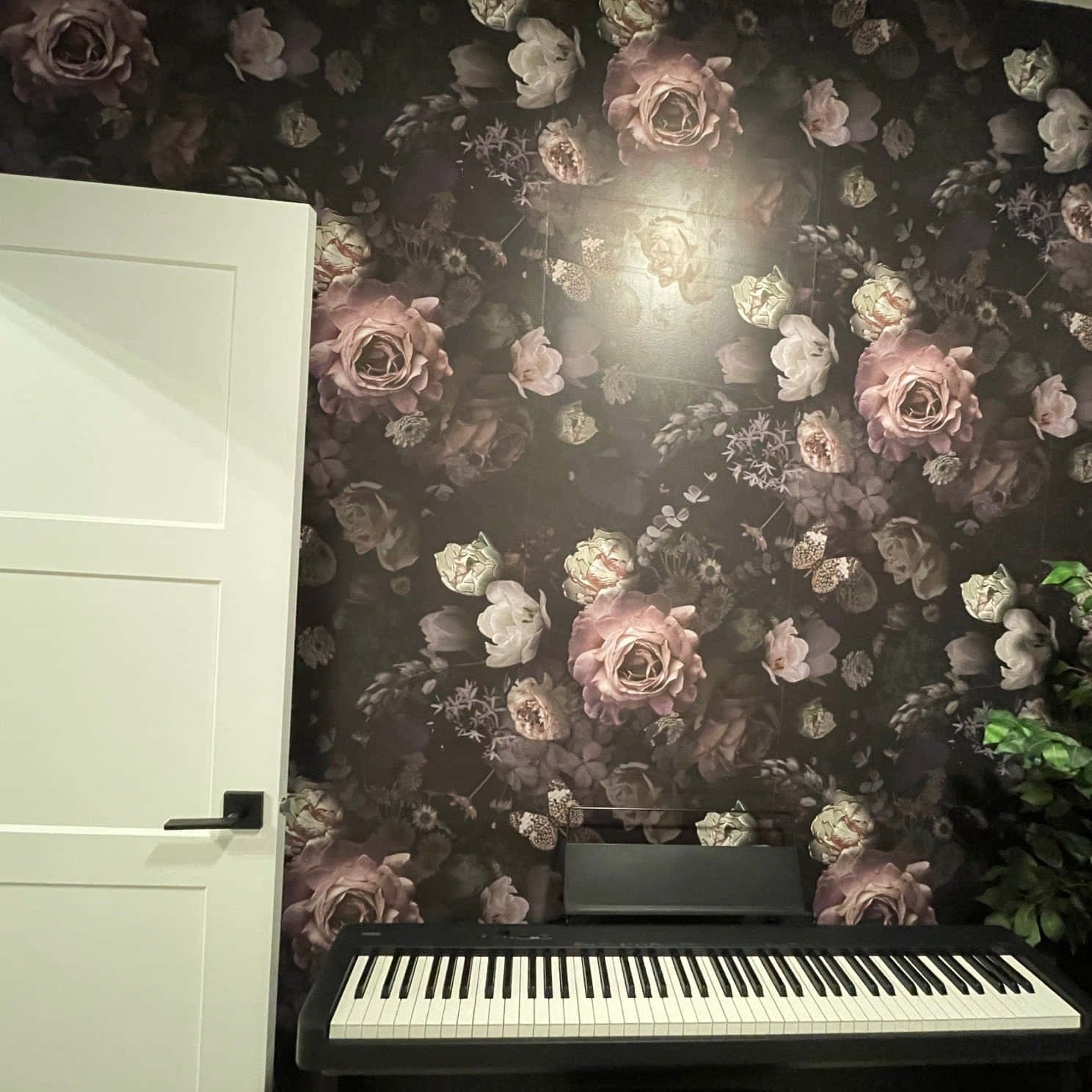 Betowerende Donker Blomme-agtergrond Muurpapier