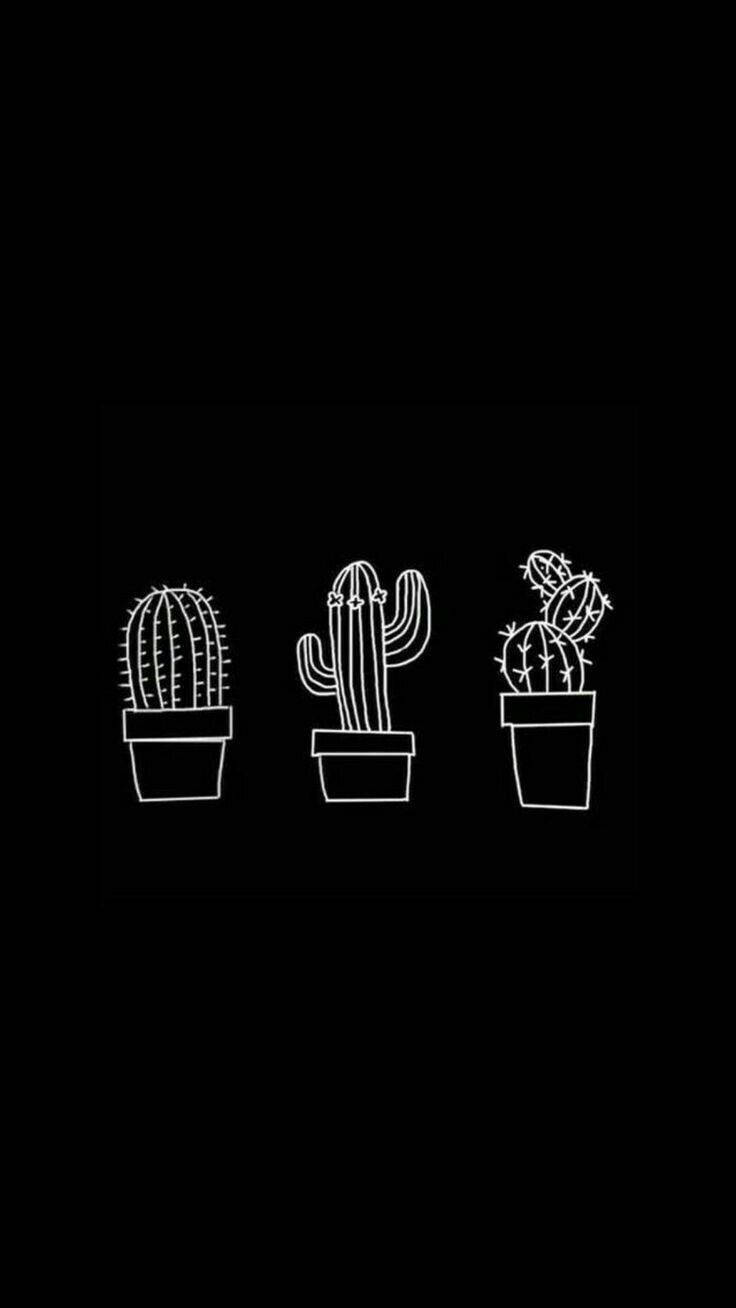Betowerende Swart Katjie met Blou Oë Muurpapier