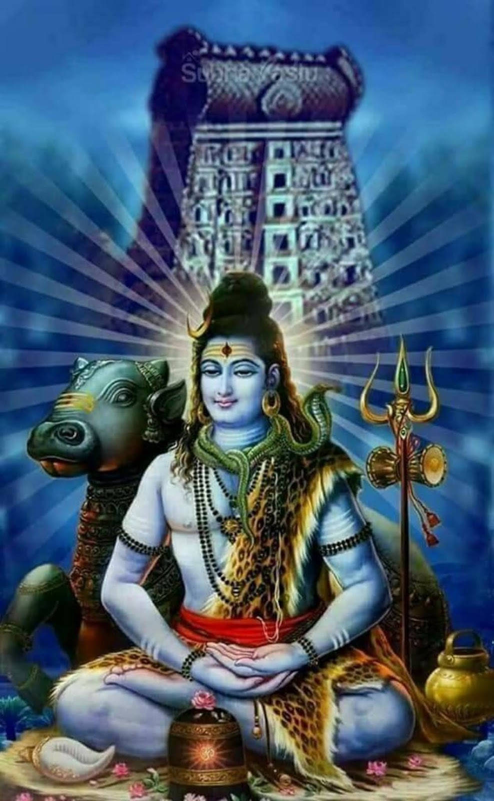 Bholenath HD Shiva Lotusposisie Nandi Bul Muurpapier