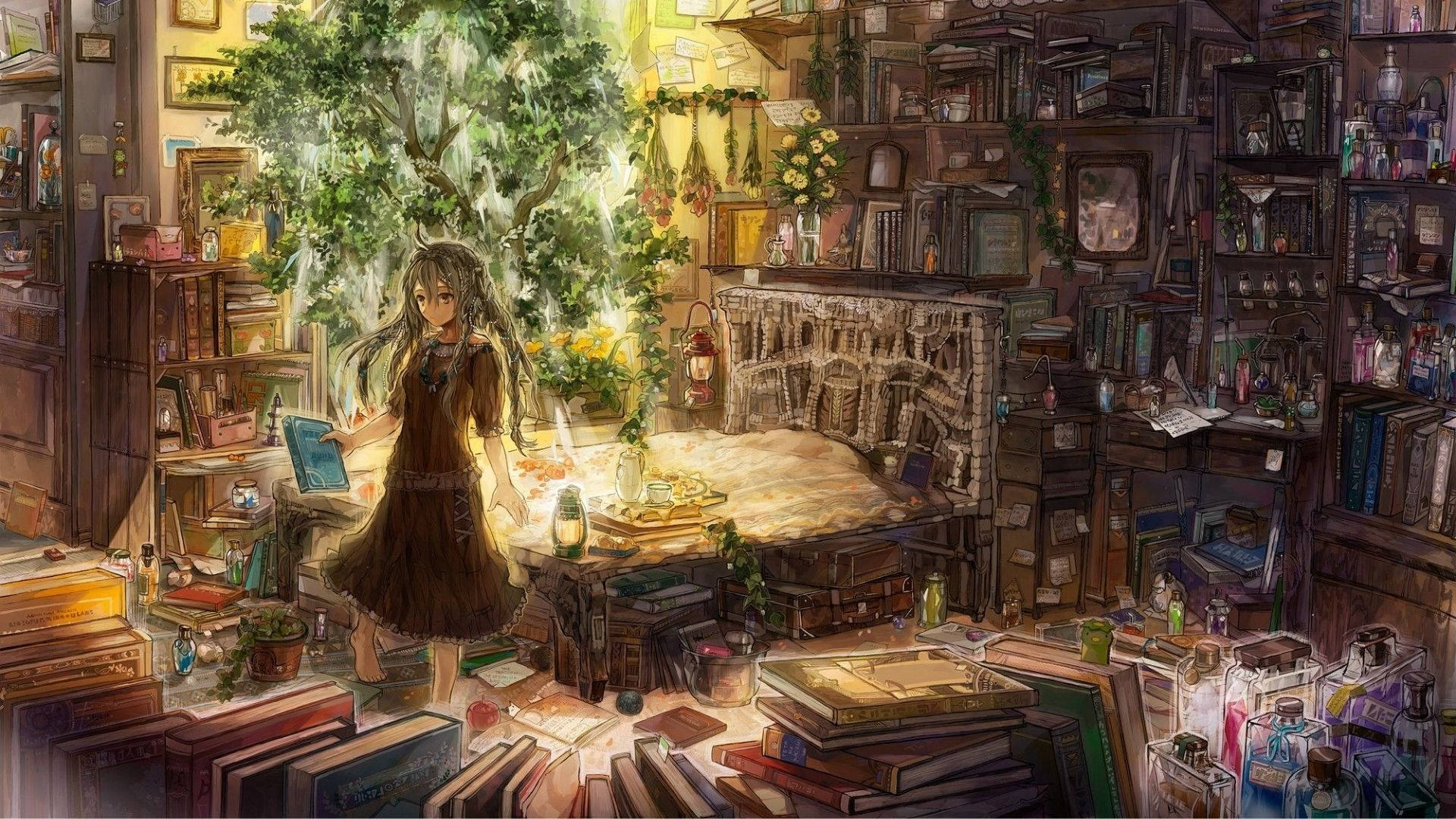 Biblioteek Anime Kamer Muurpapier