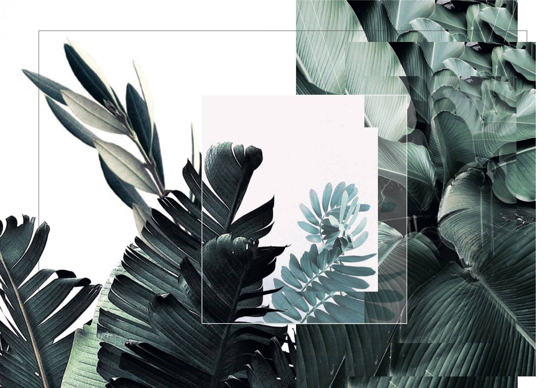 Blare Groen en Wit Estetiese Collage Muurpapier