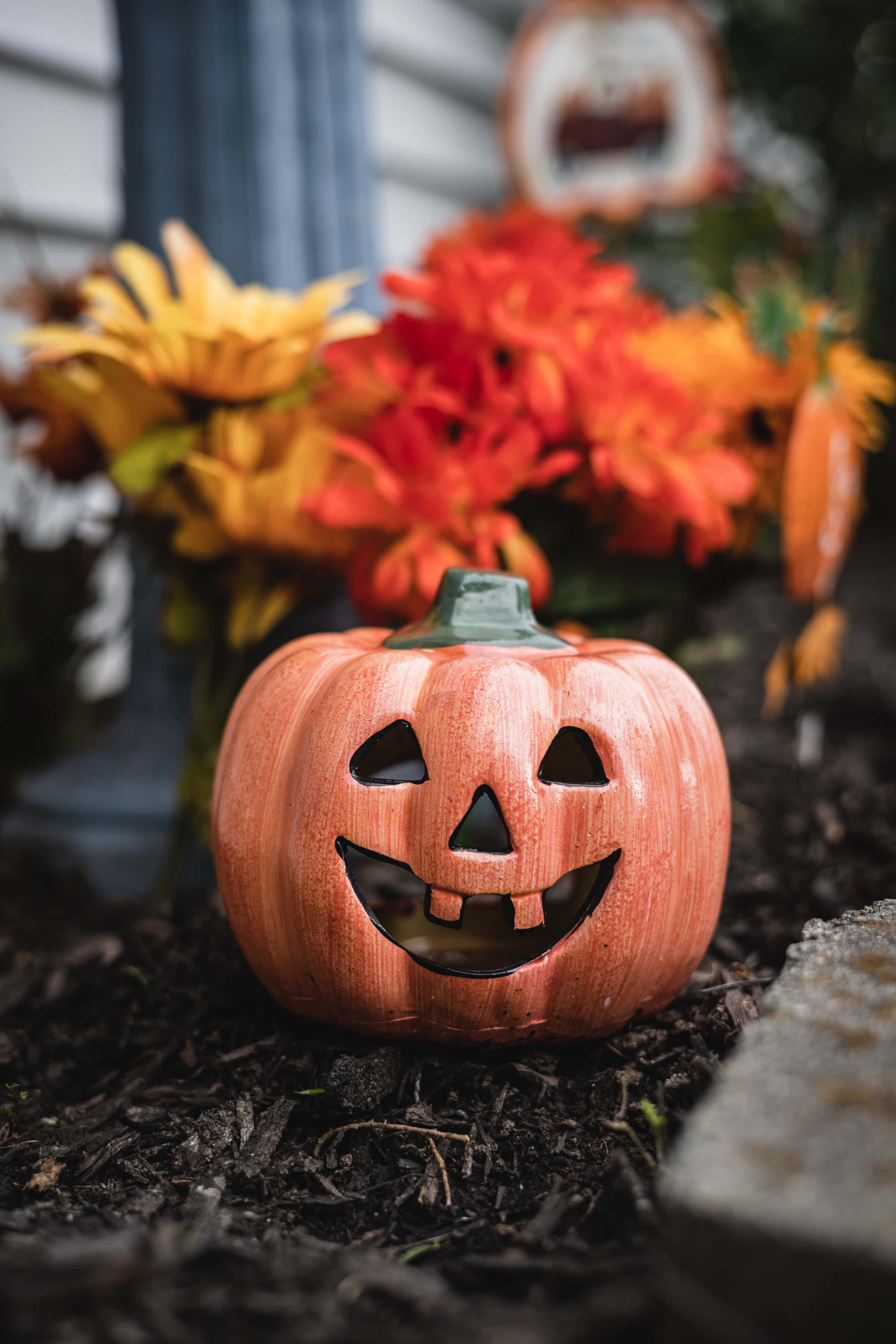 Blom Pampoen Hoë Resolusie Halloween Agtergrond Muurpapier